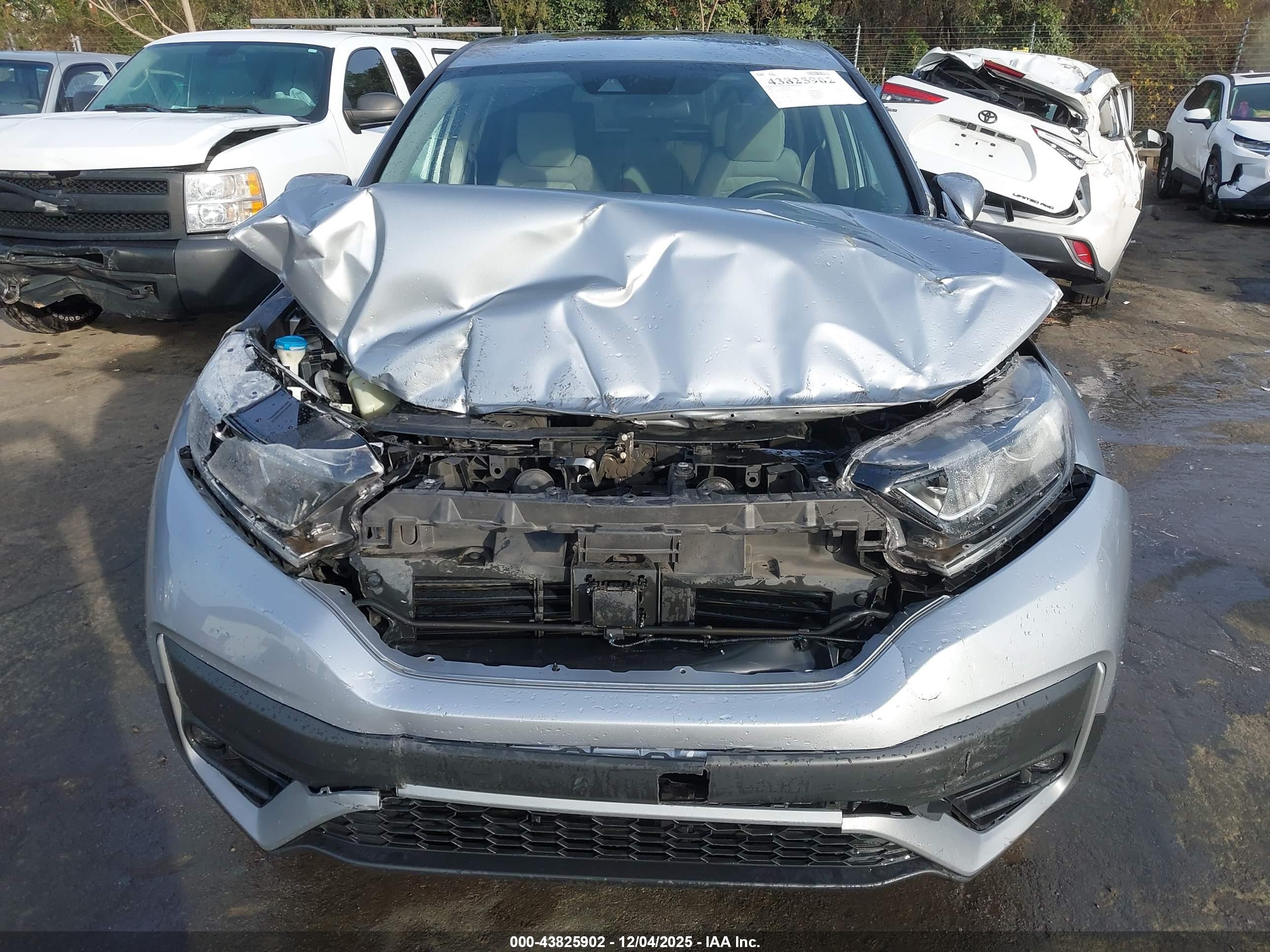 HONDA CR-V image 6