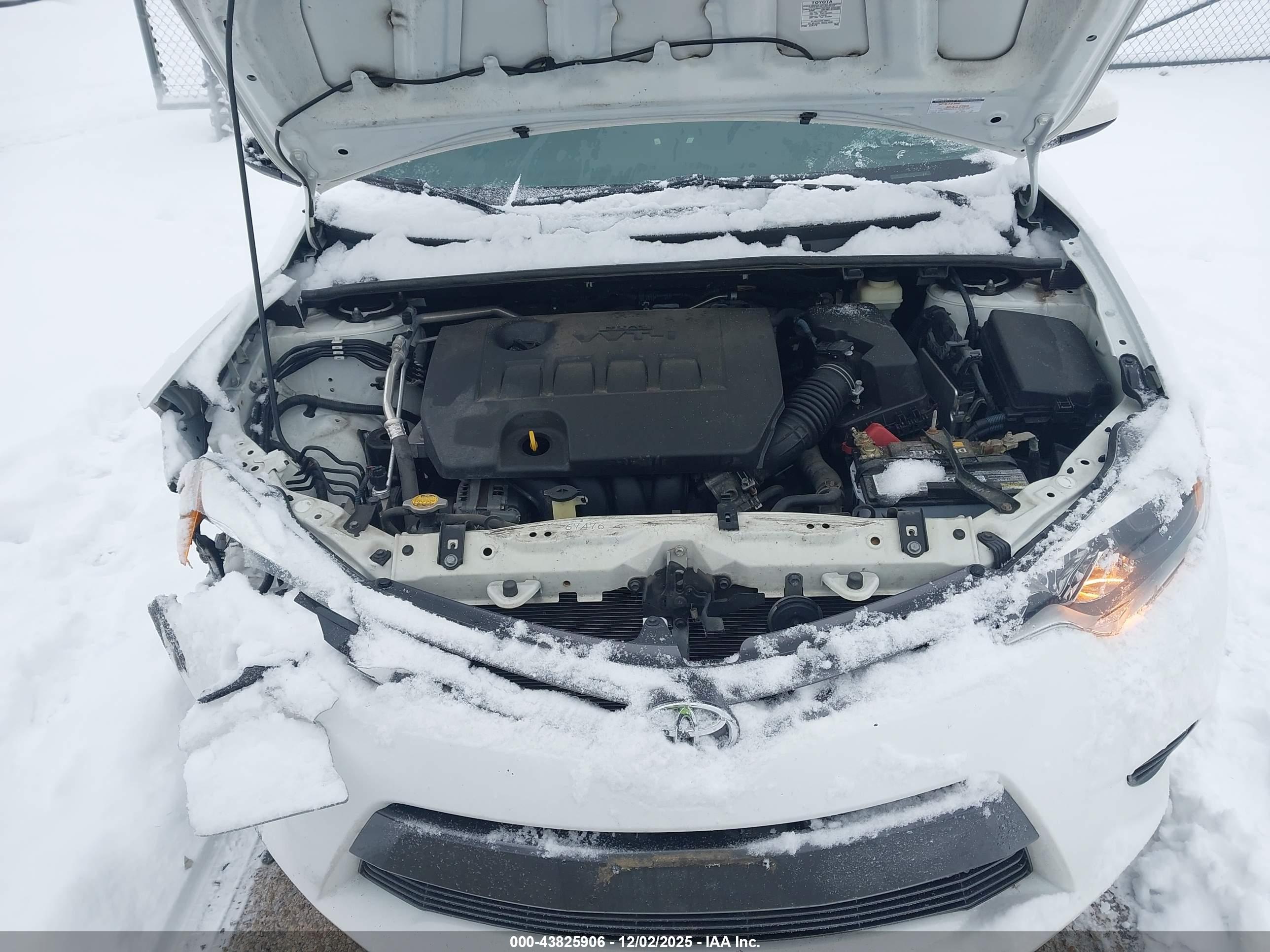 TOYOTA COROLLA image 10