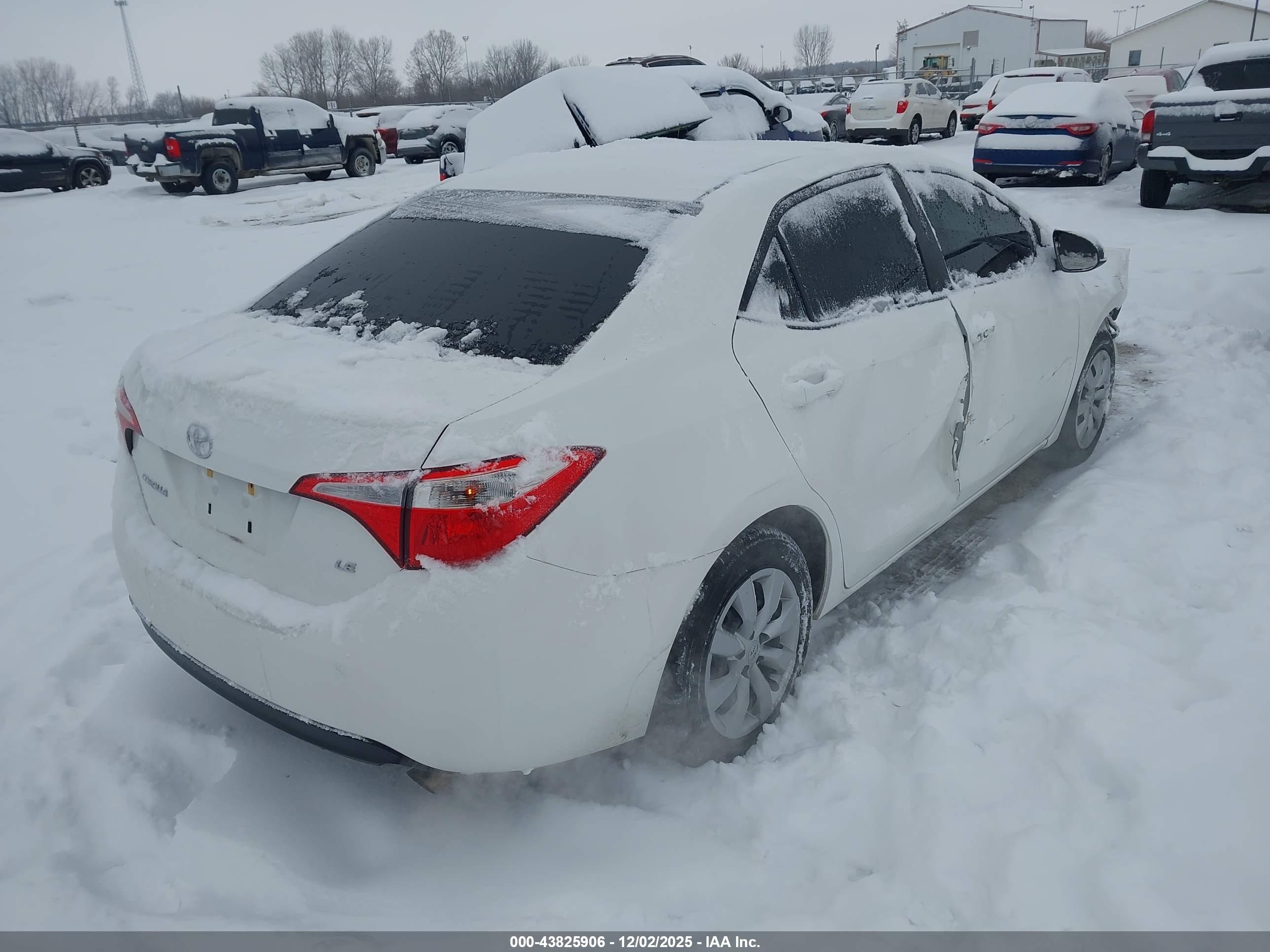 TOYOTA COROLLA image 4