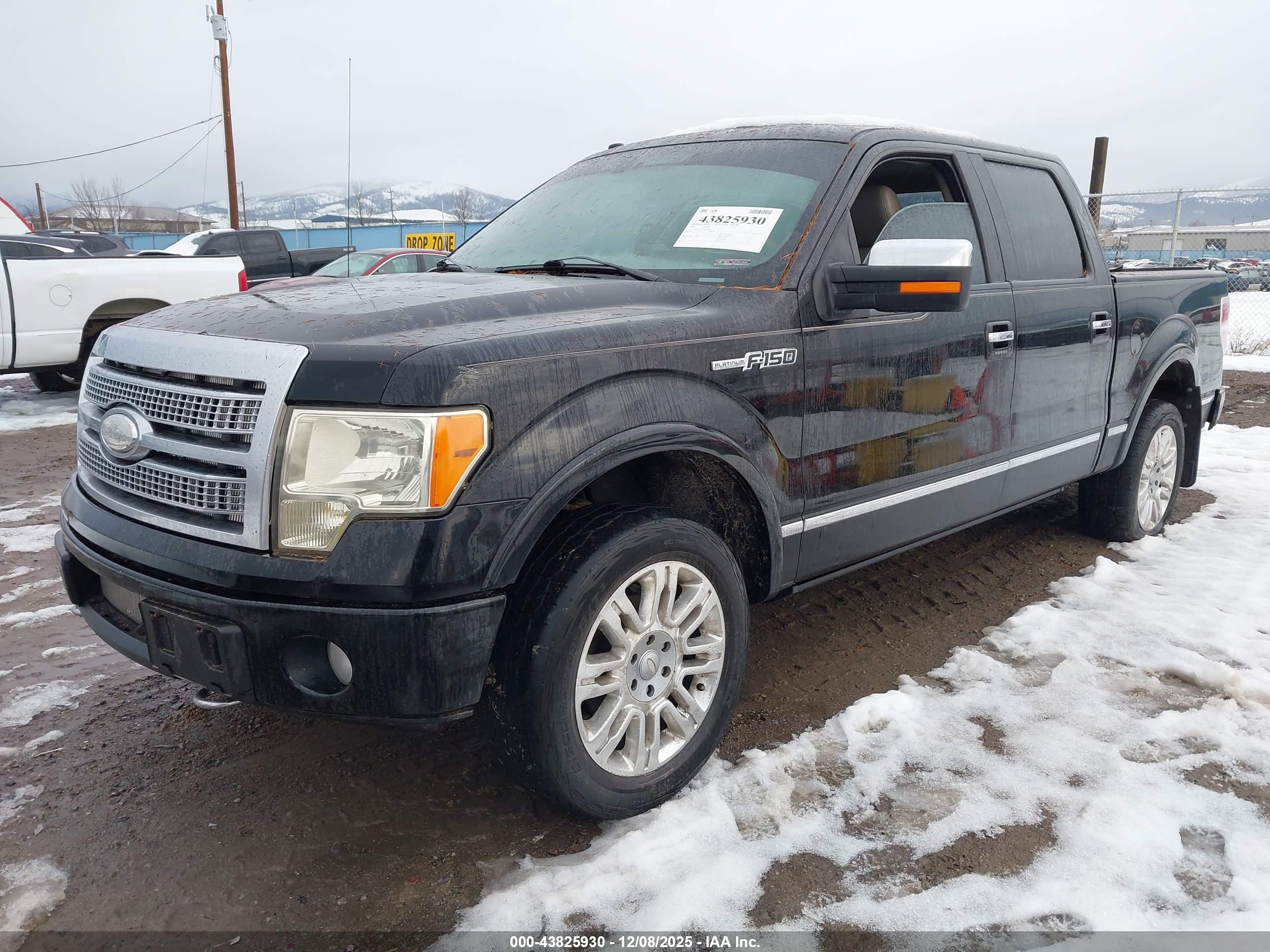 FORD F-150 image 2