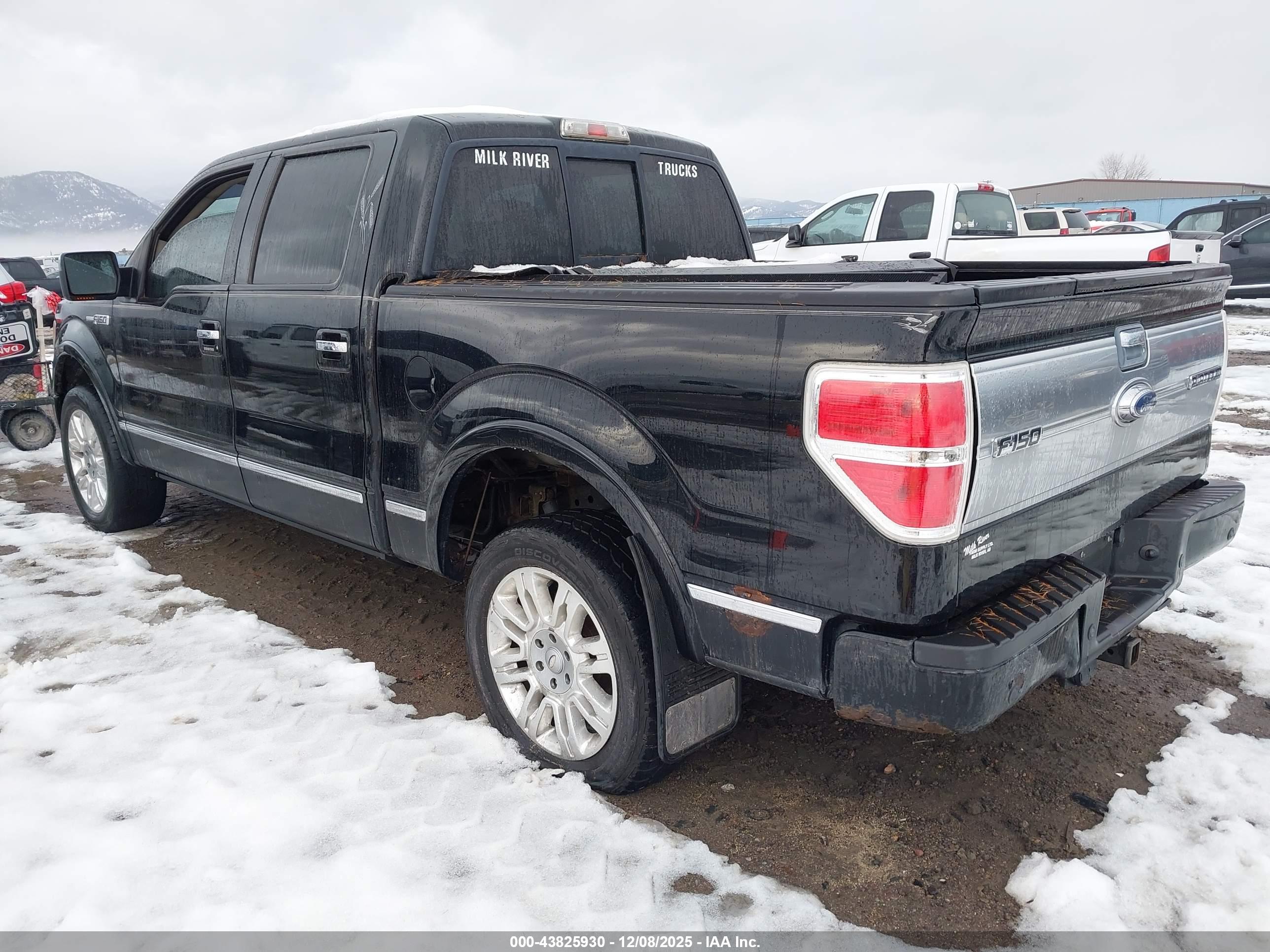 FORD F-150 image 3