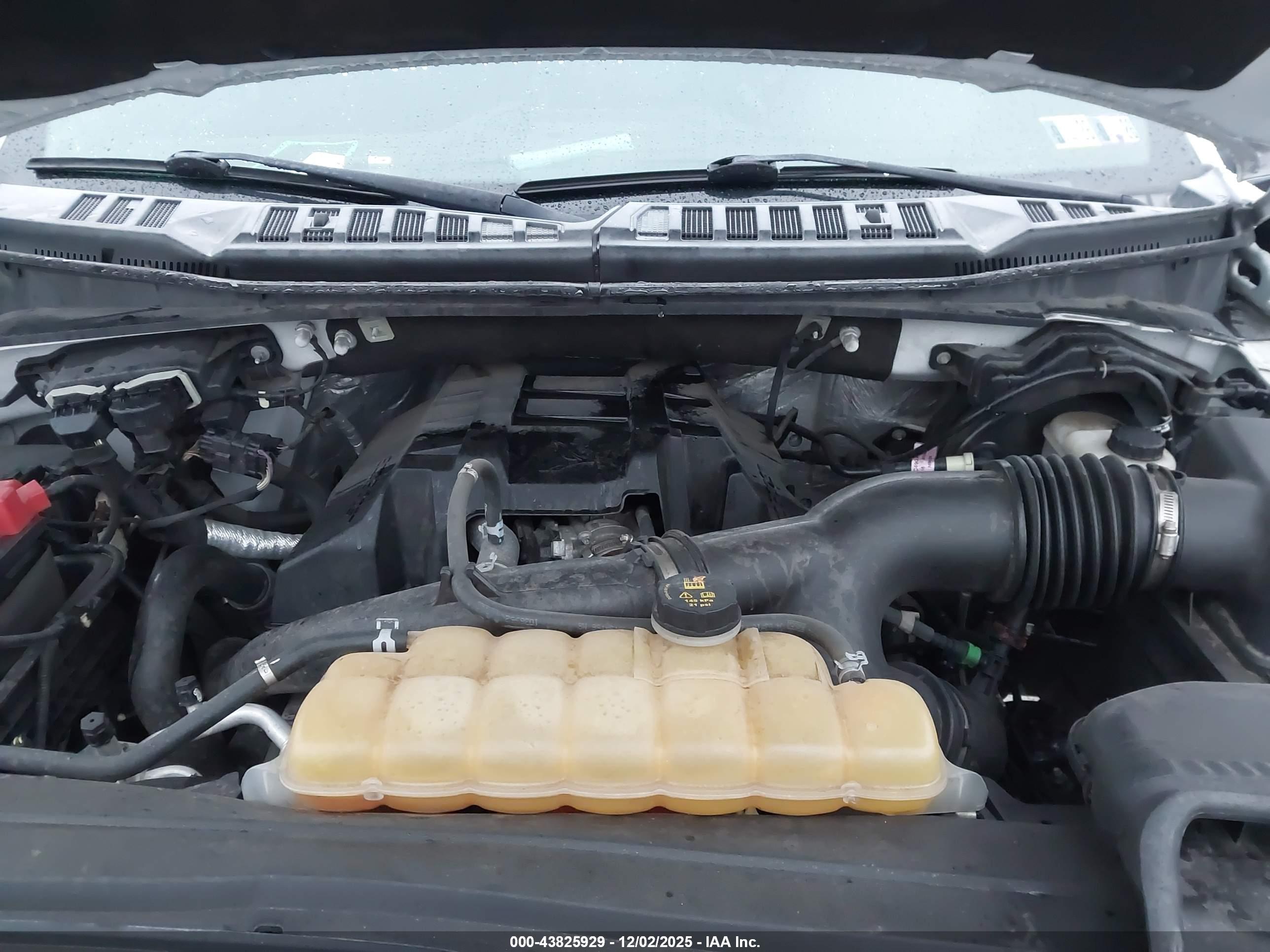 FORD F-150 image 10