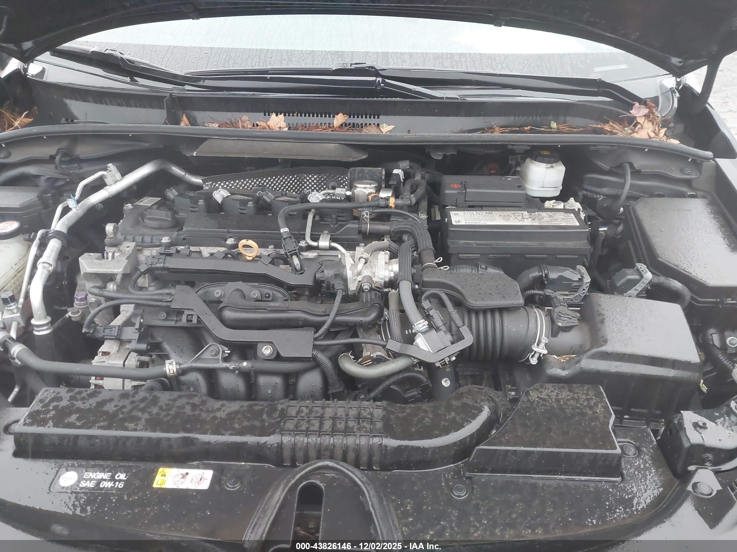 TOYOTA COROLLA image 10