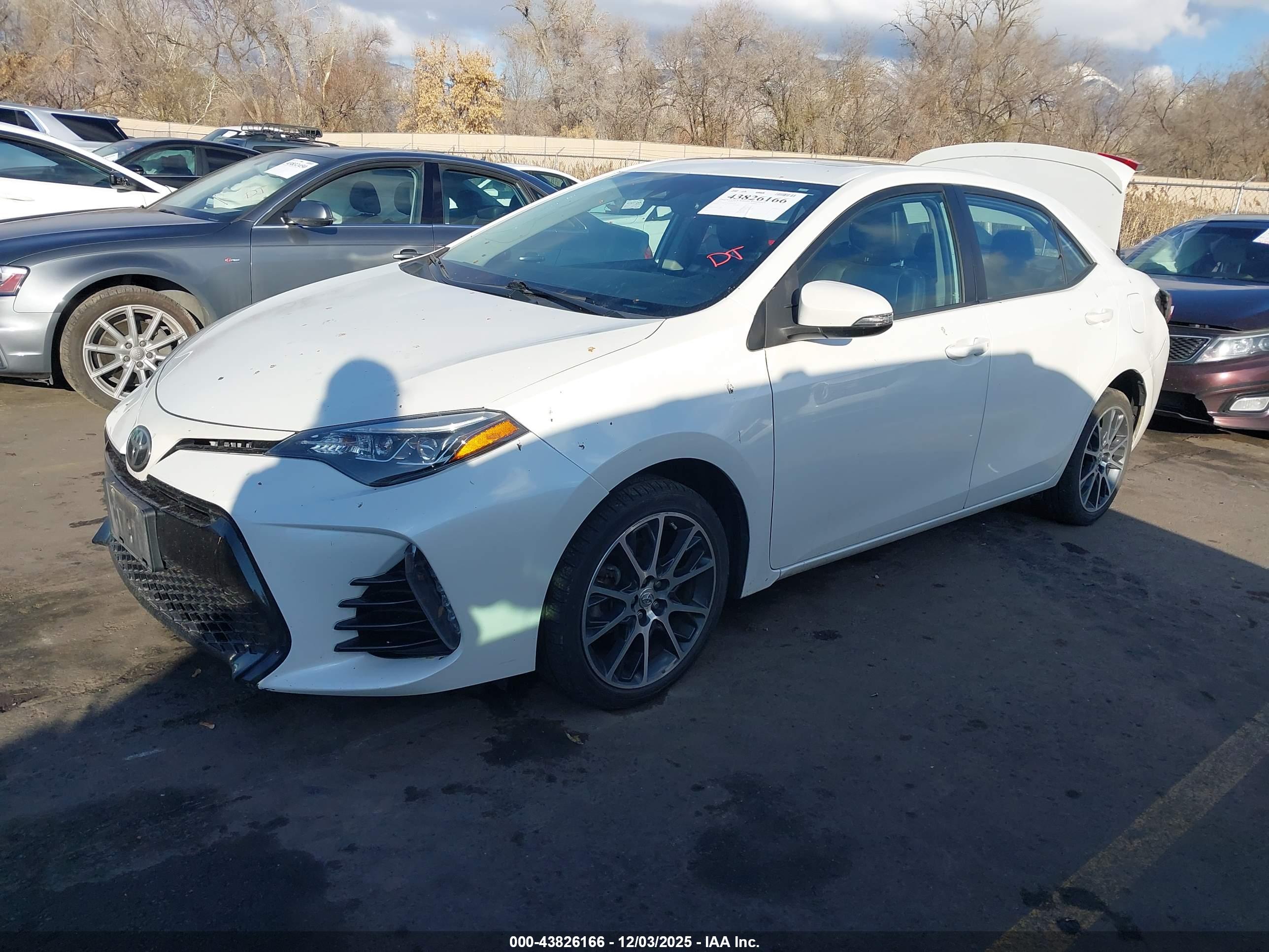 TOYOTA COROLLA image 2