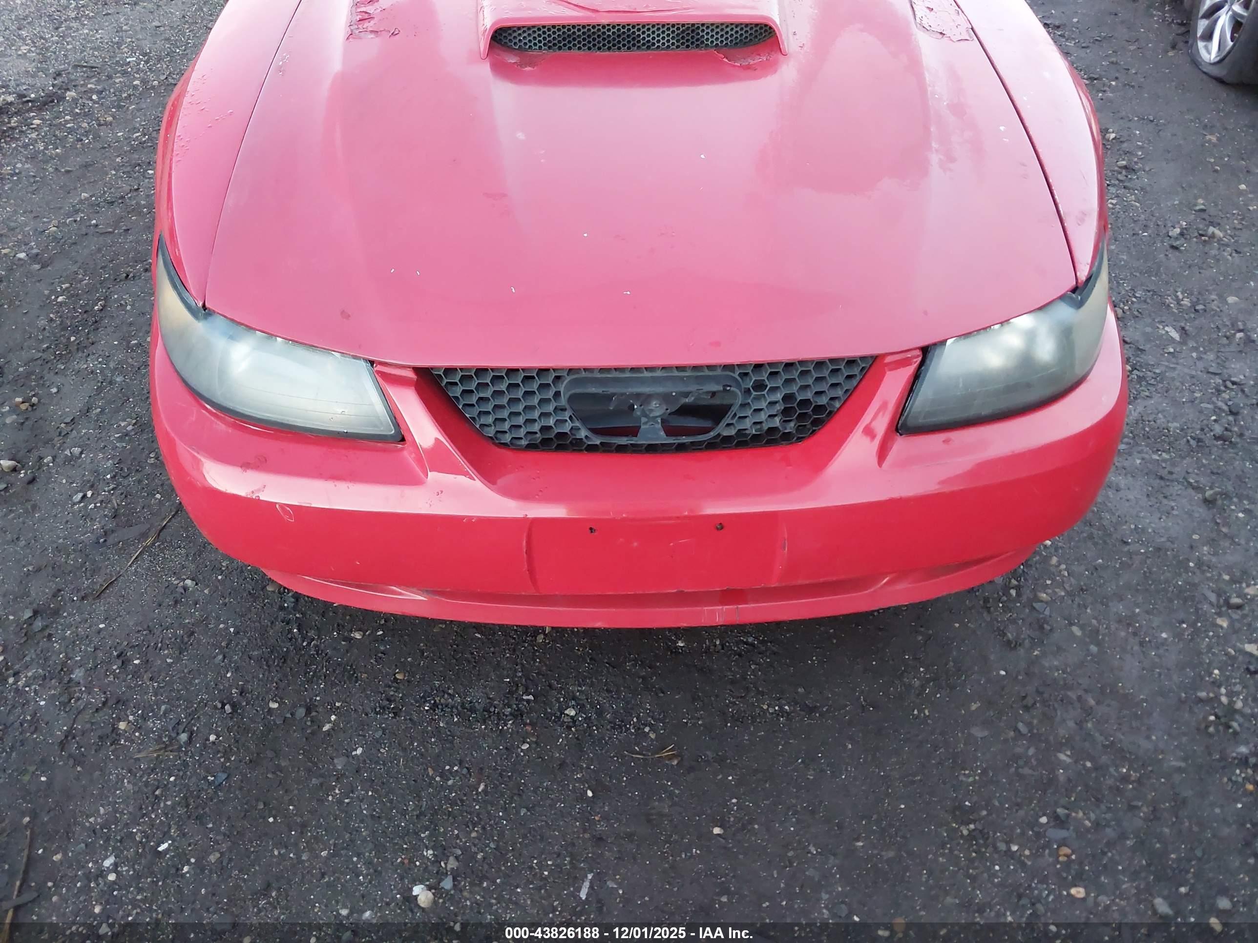 FORD MUSTANG image 10