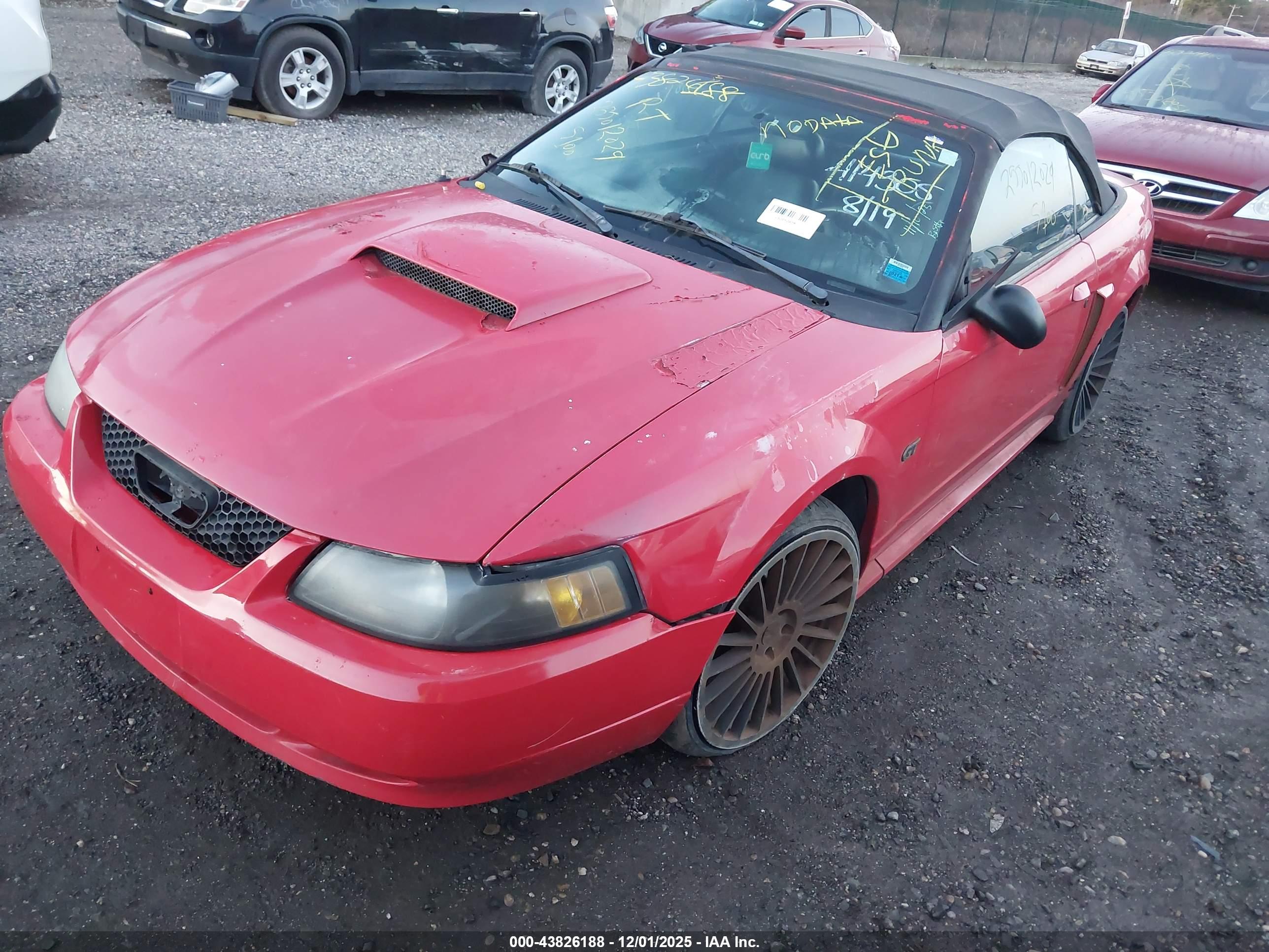 FORD MUSTANG image 2
