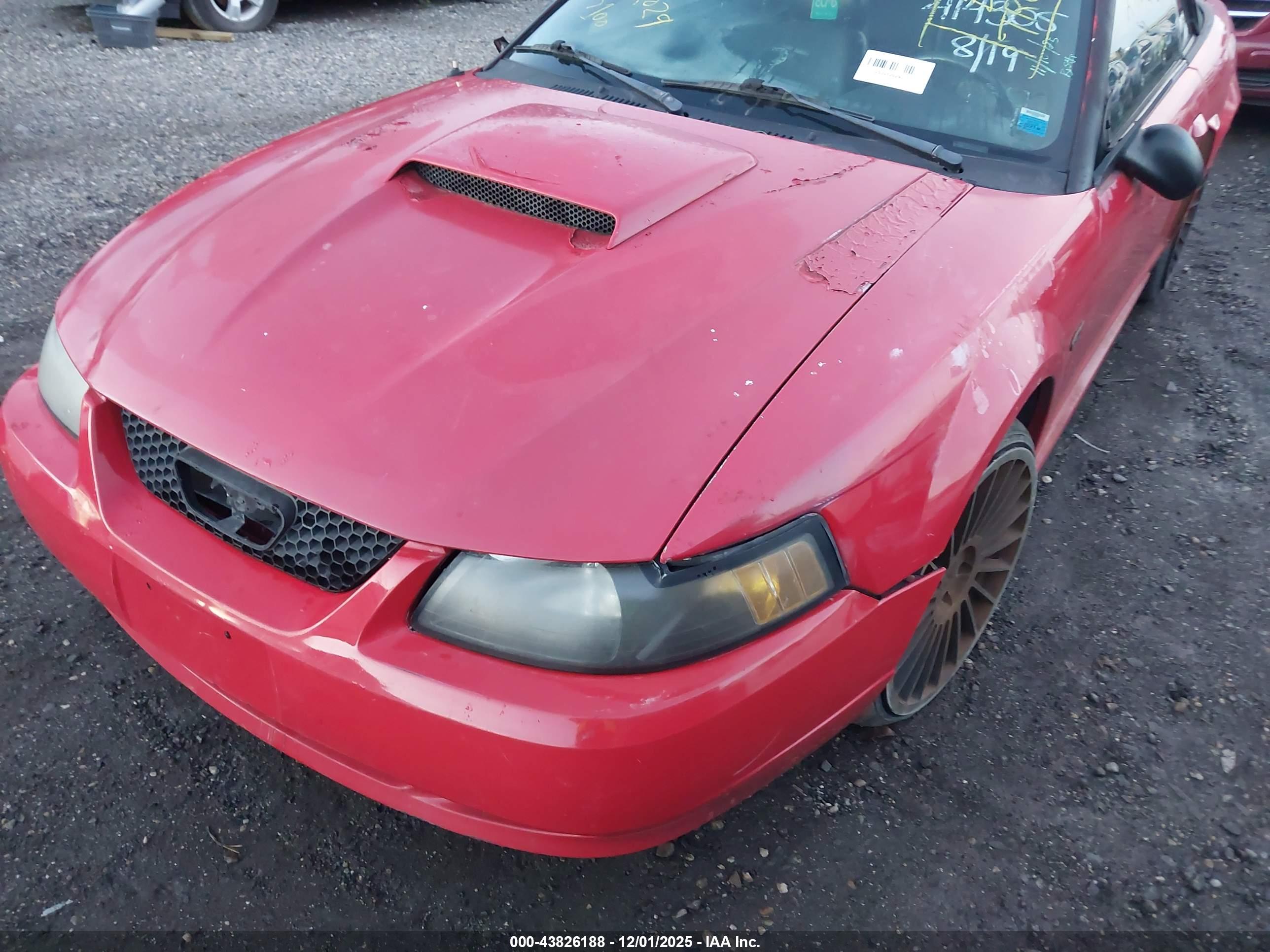 FORD MUSTANG image 6