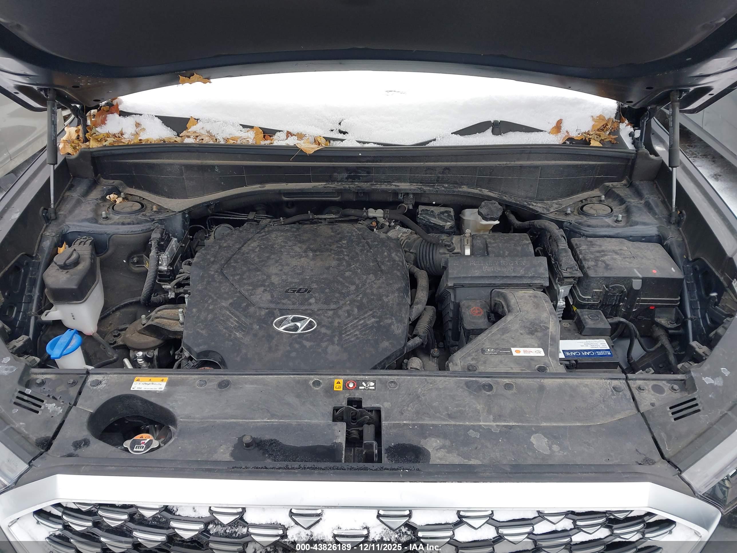 HYUNDAI PALISADE image 10