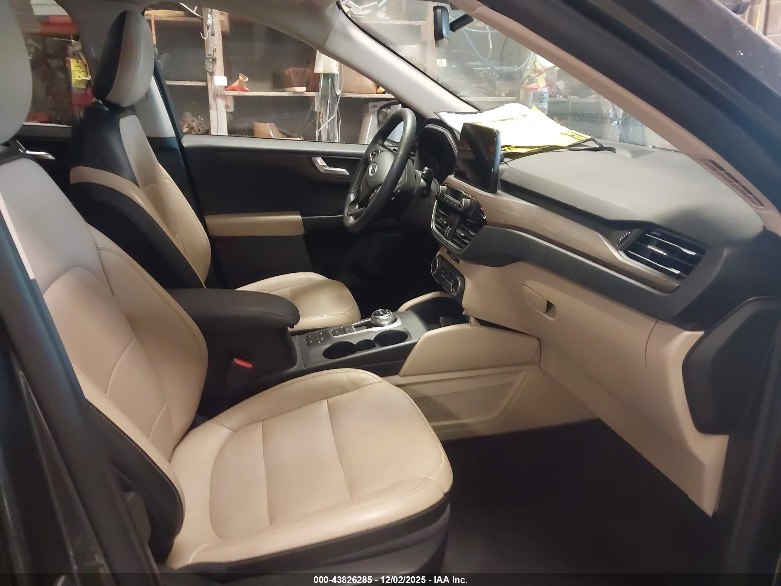 FORD ESCAPE image 5