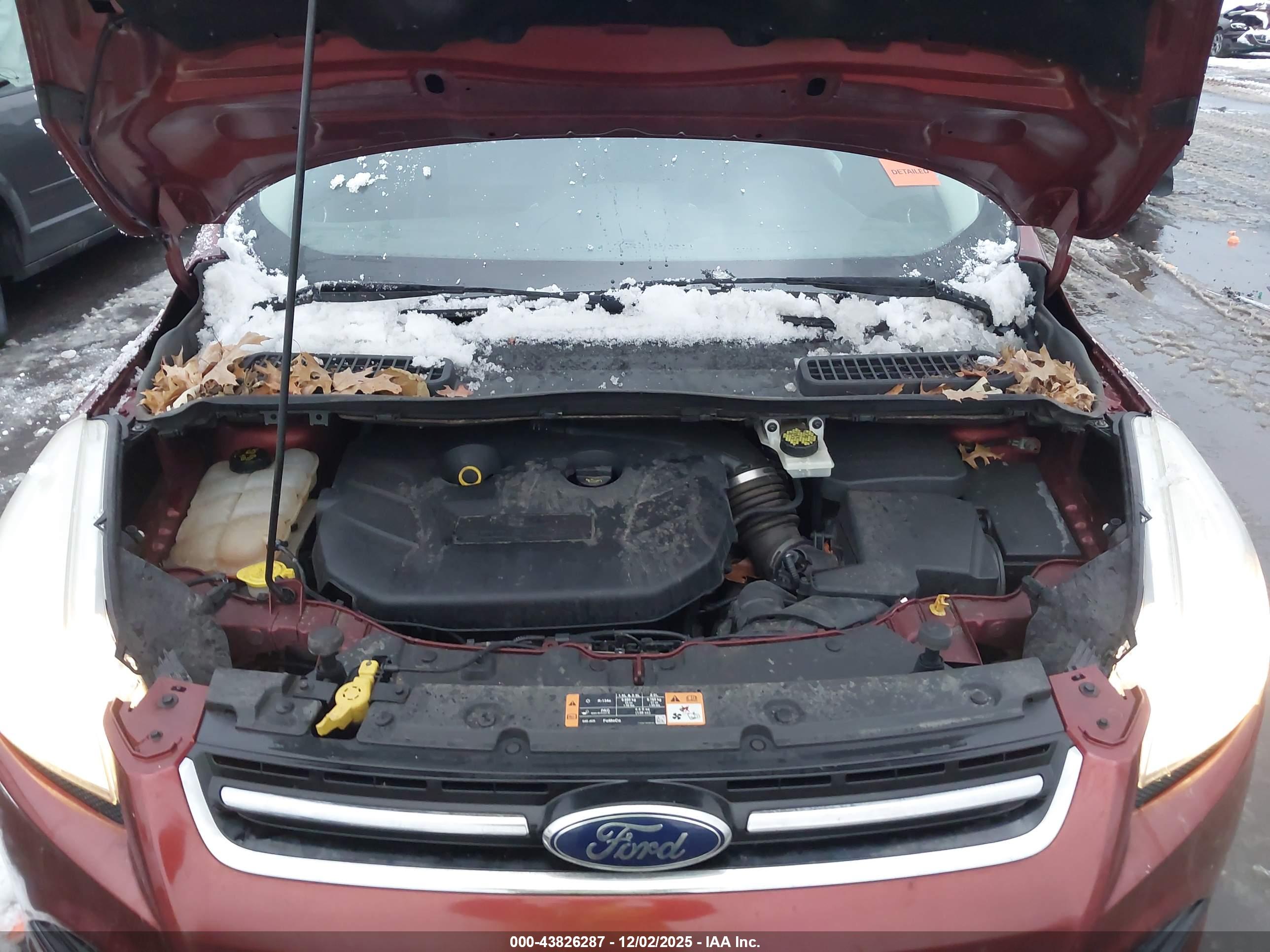 FORD ESCAPE image 10