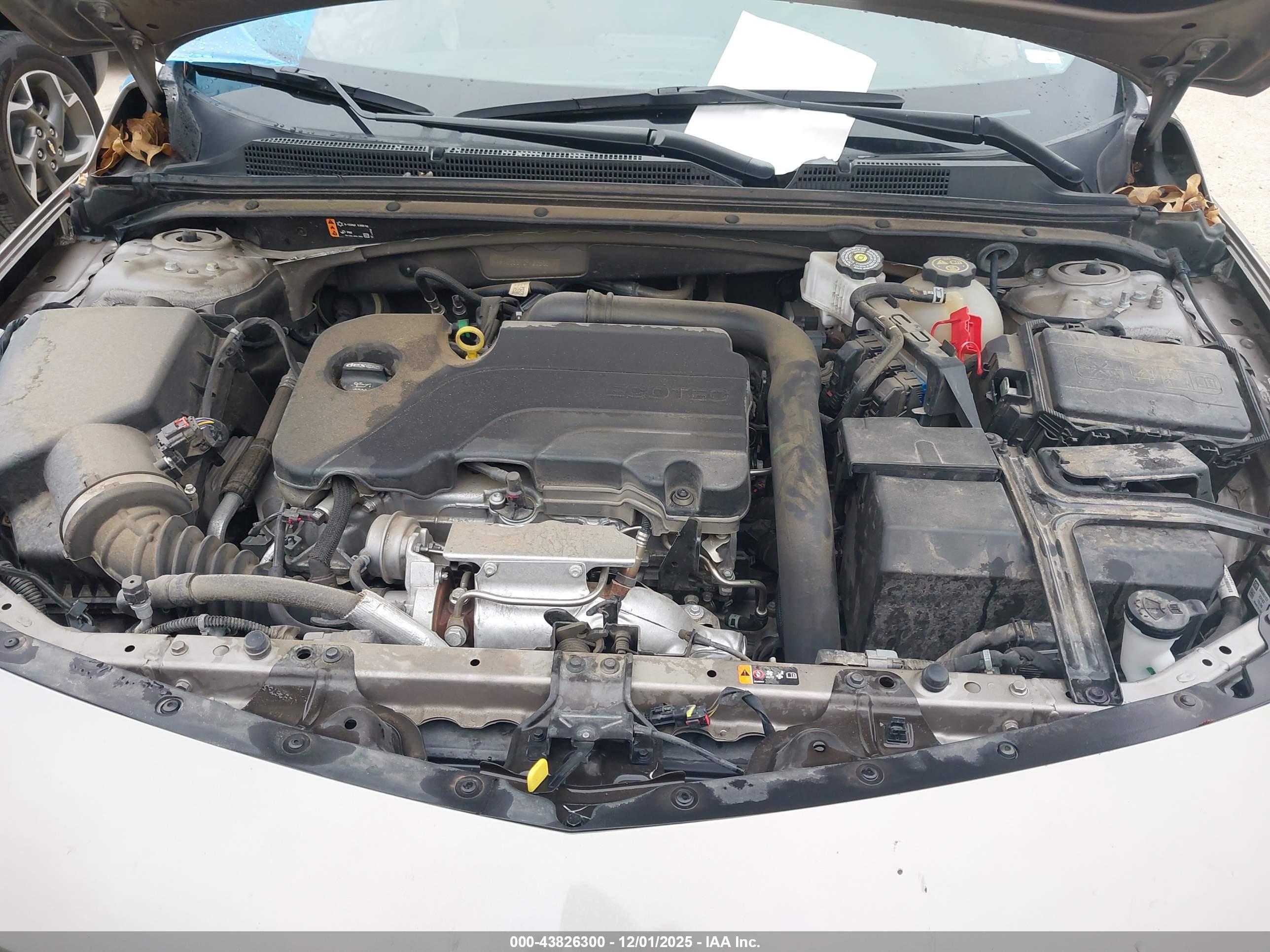 CHEVROLET MALIBU image 10