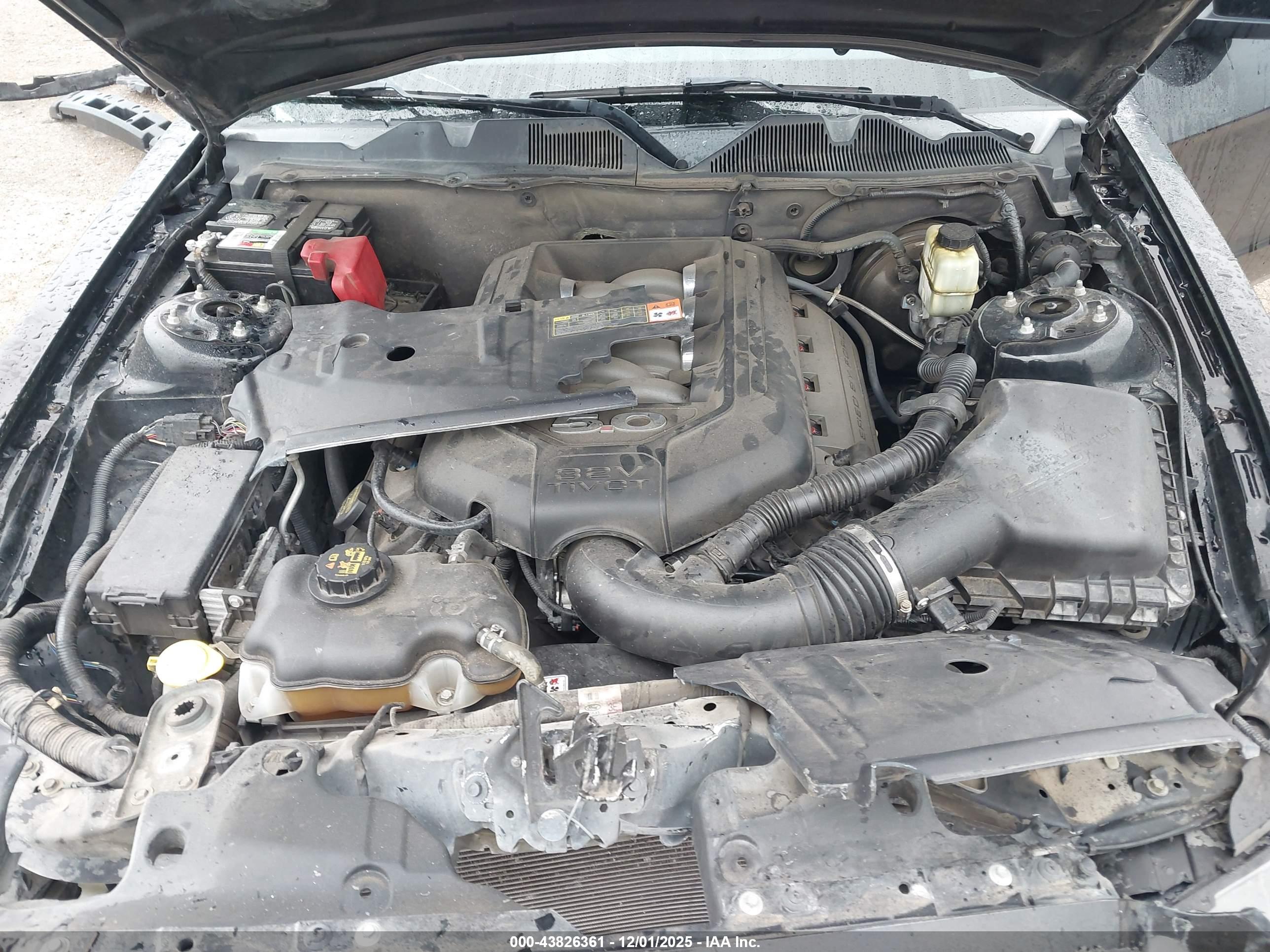 FORD MUSTANG image 10