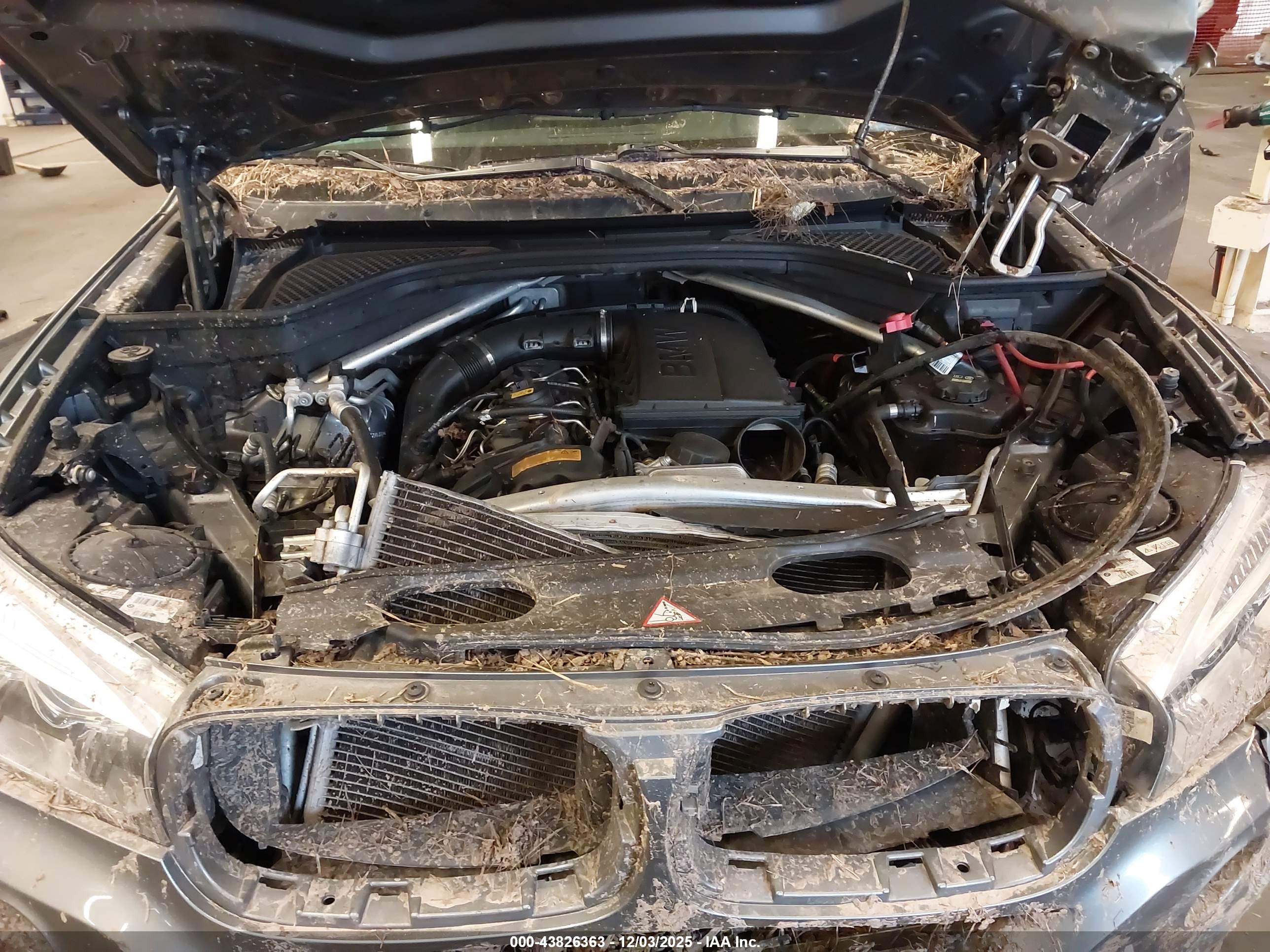 BMW X5 image 10