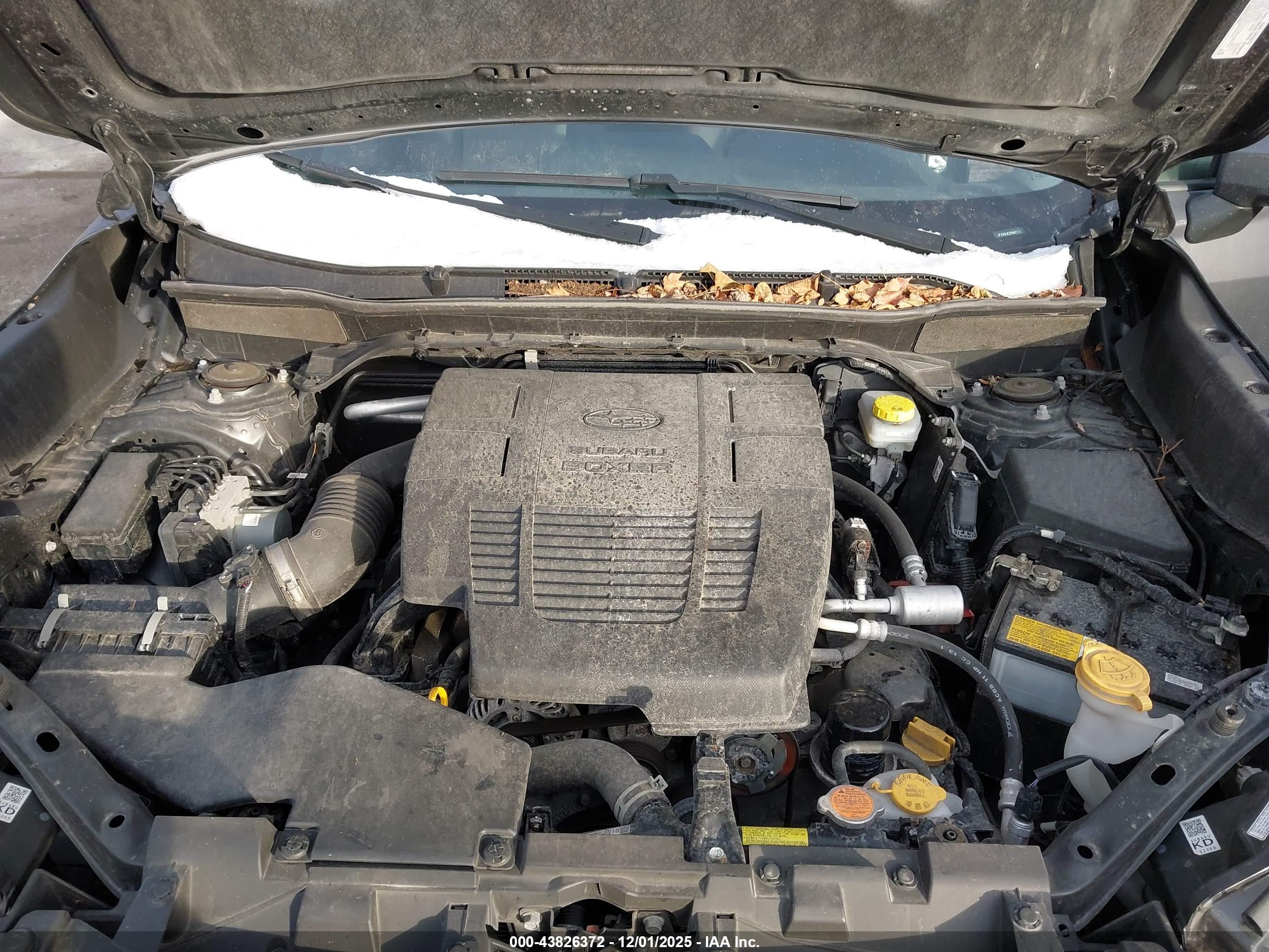 SUBARU FORESTER image 10