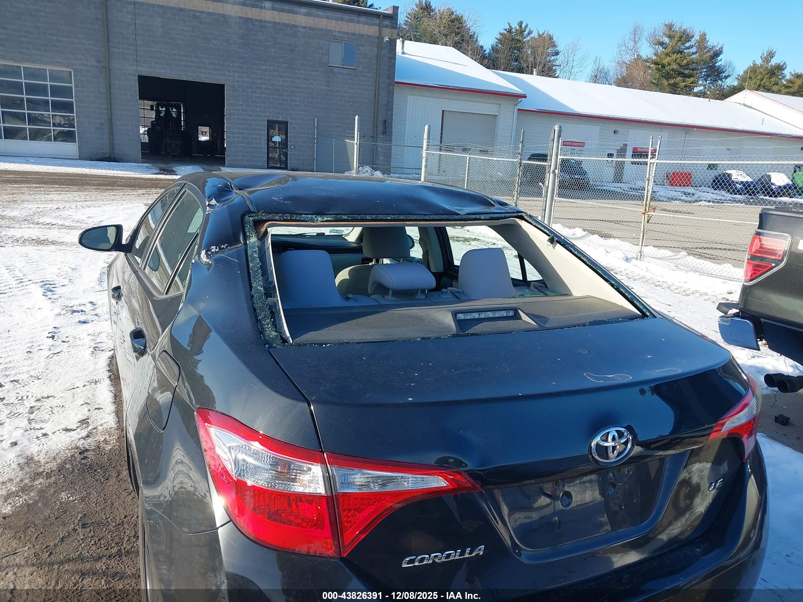 TOYOTA COROLLA image 6