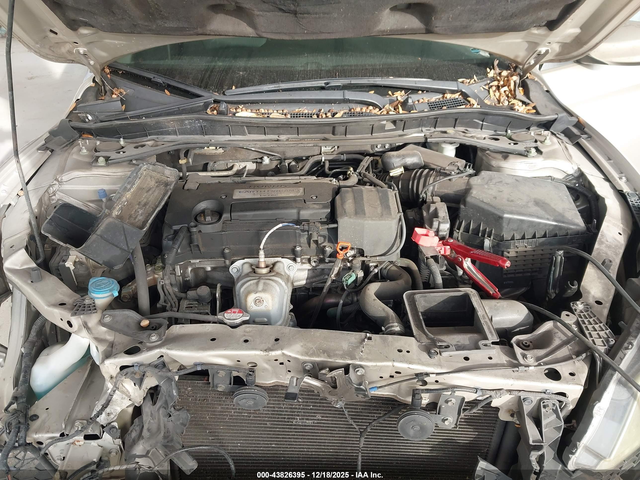 HONDA ACCORD image 10