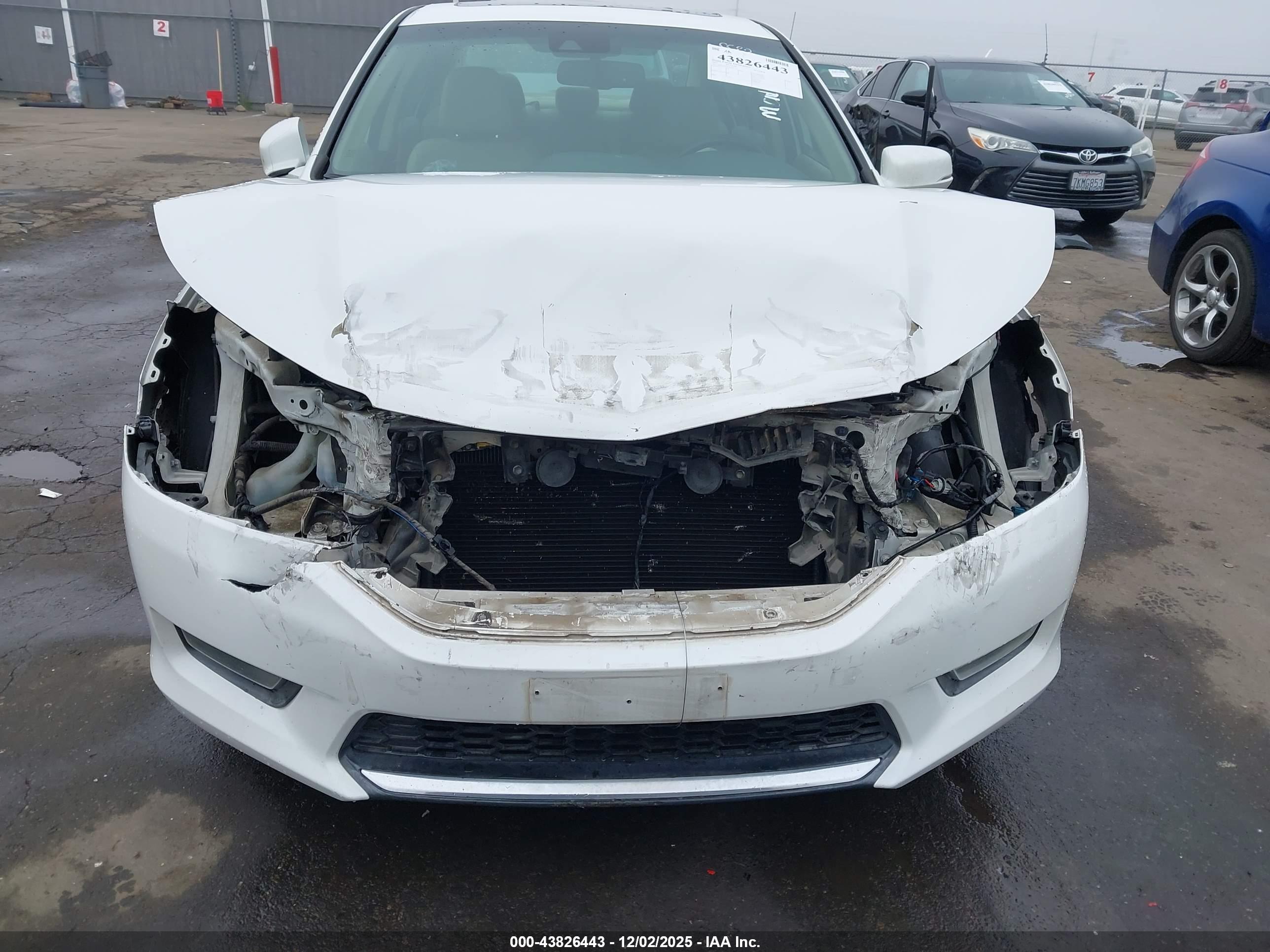 HONDA ACCORD image 6