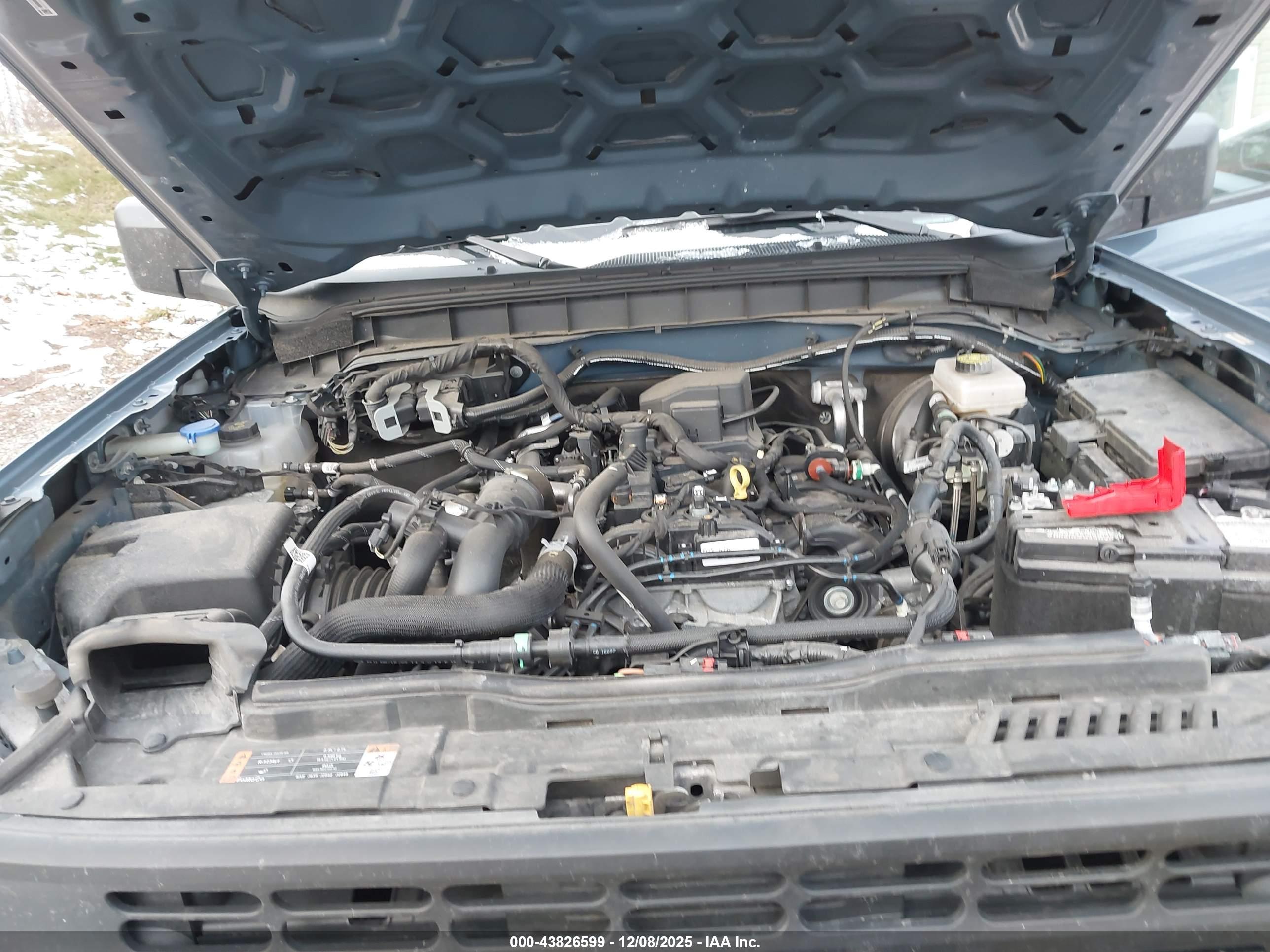 FORD BRONCO image 10