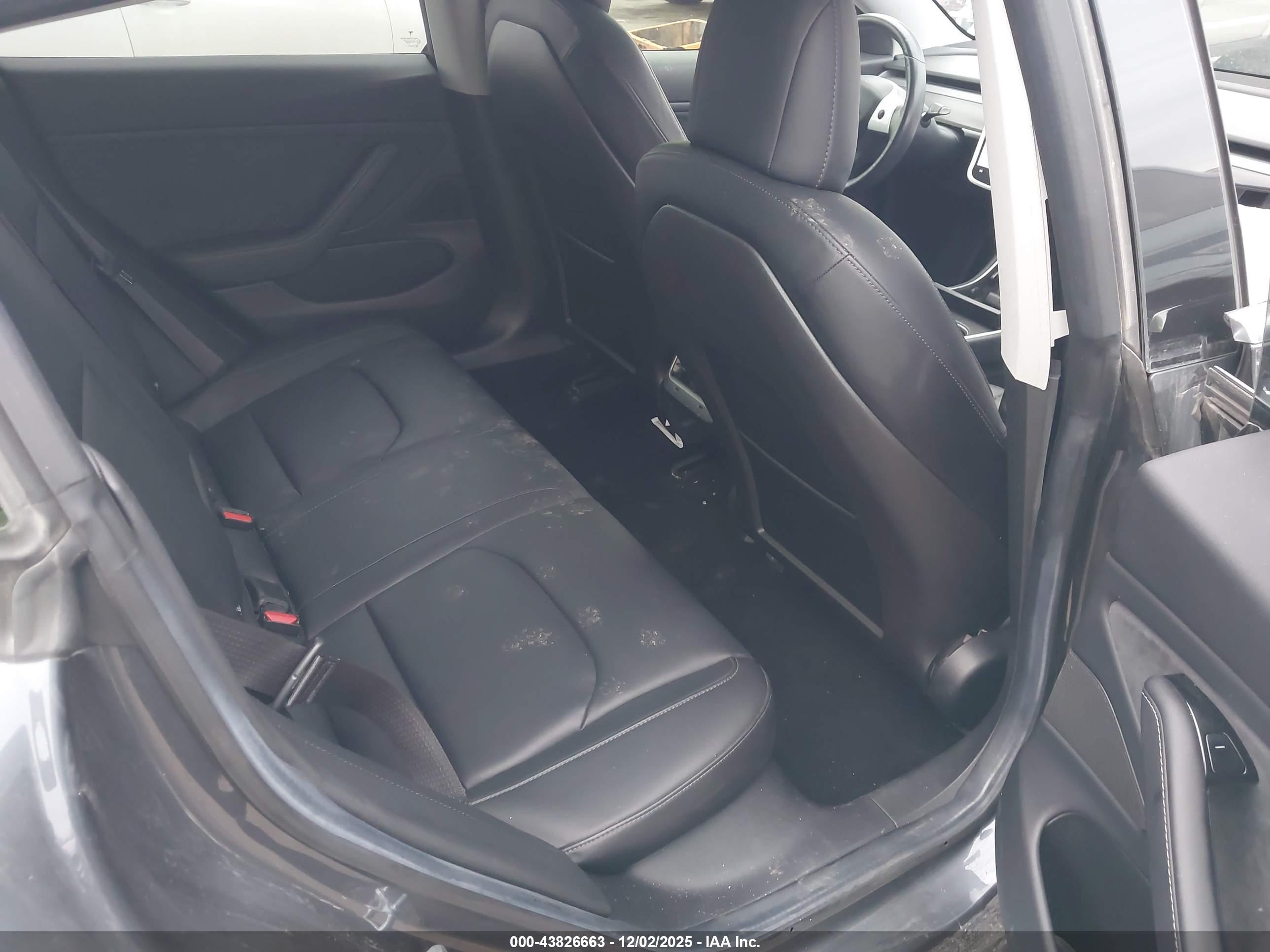 TESLA MODEL image 8