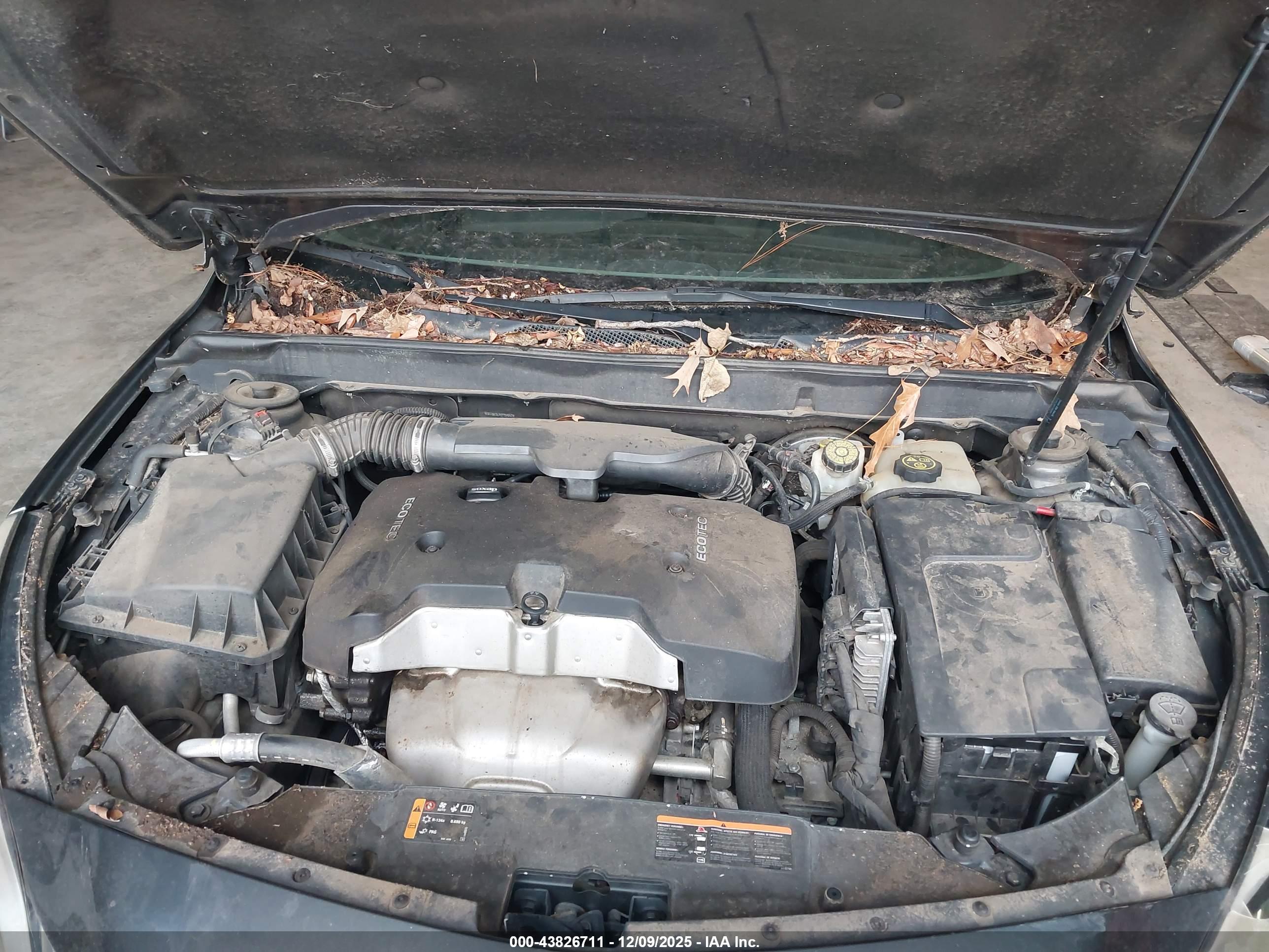 CHEVROLET MALIBU image 10