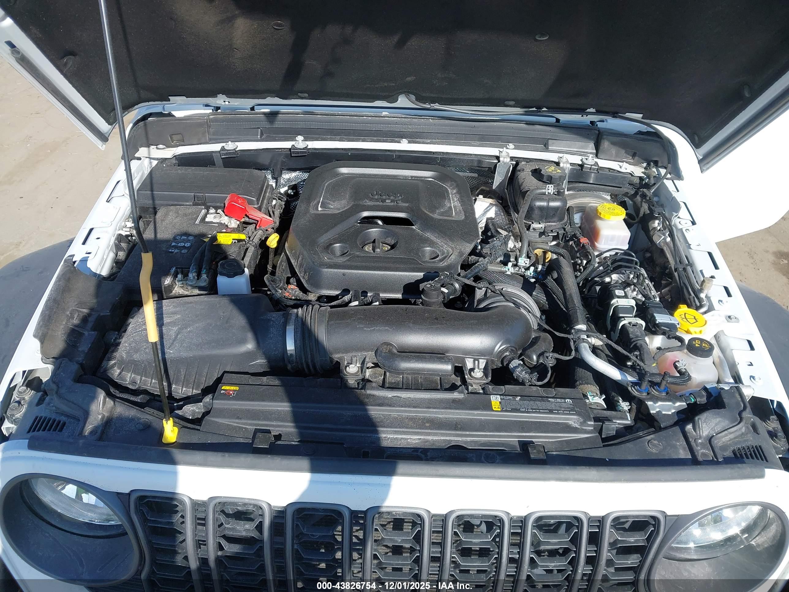 JEEP WRANGLER image 10