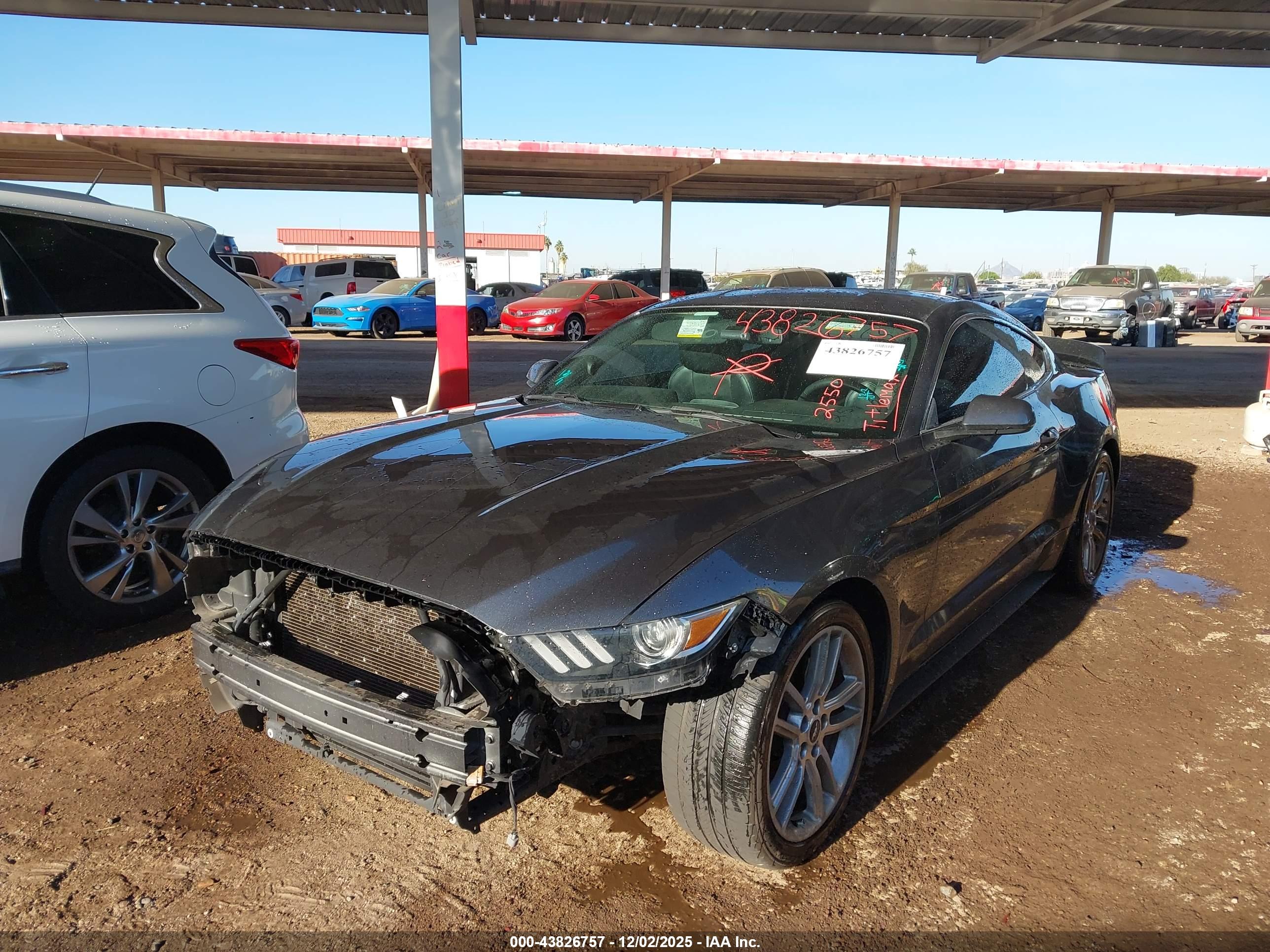 FORD MUSTANG image 2