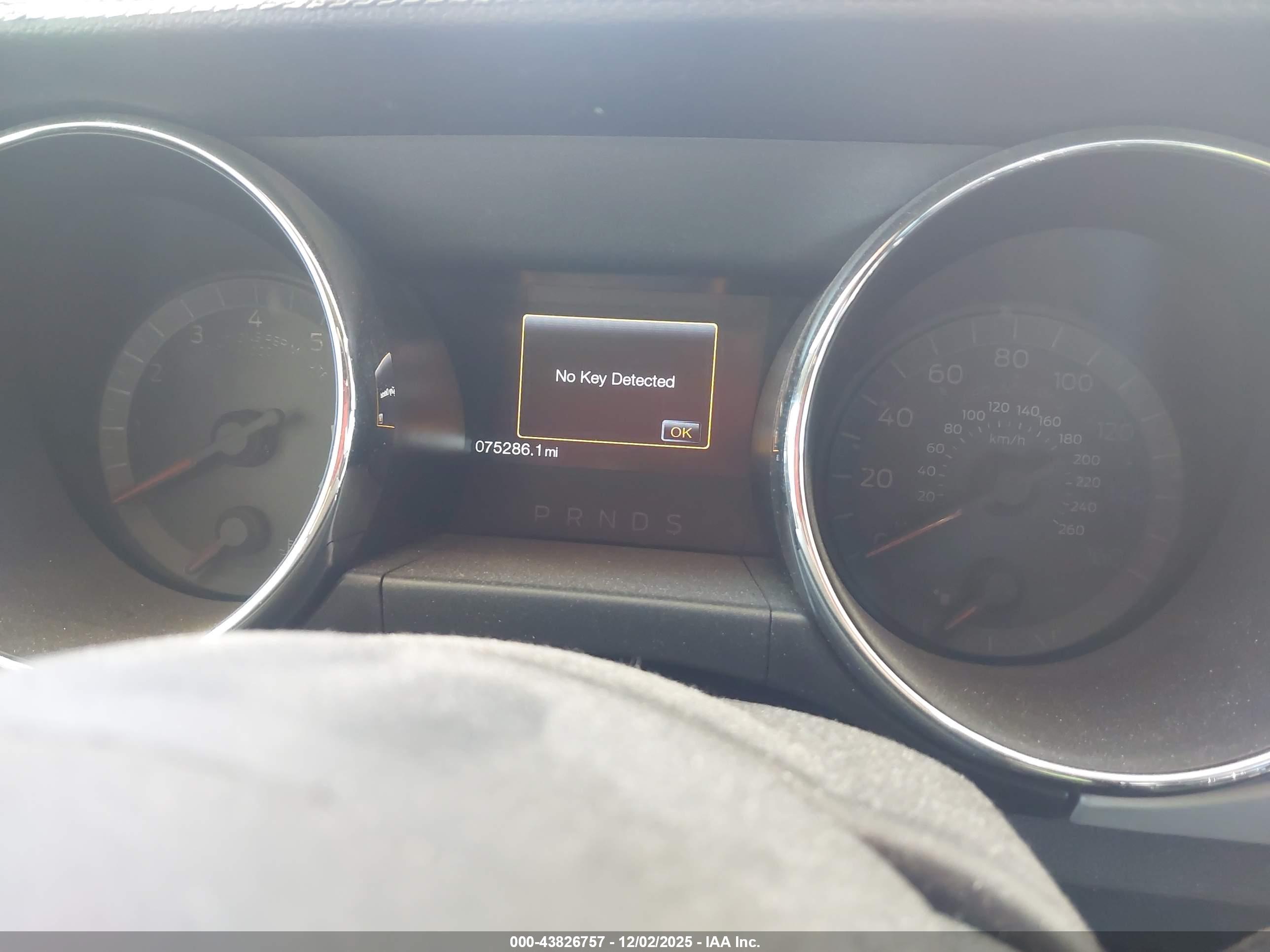 FORD MUSTANG image 7