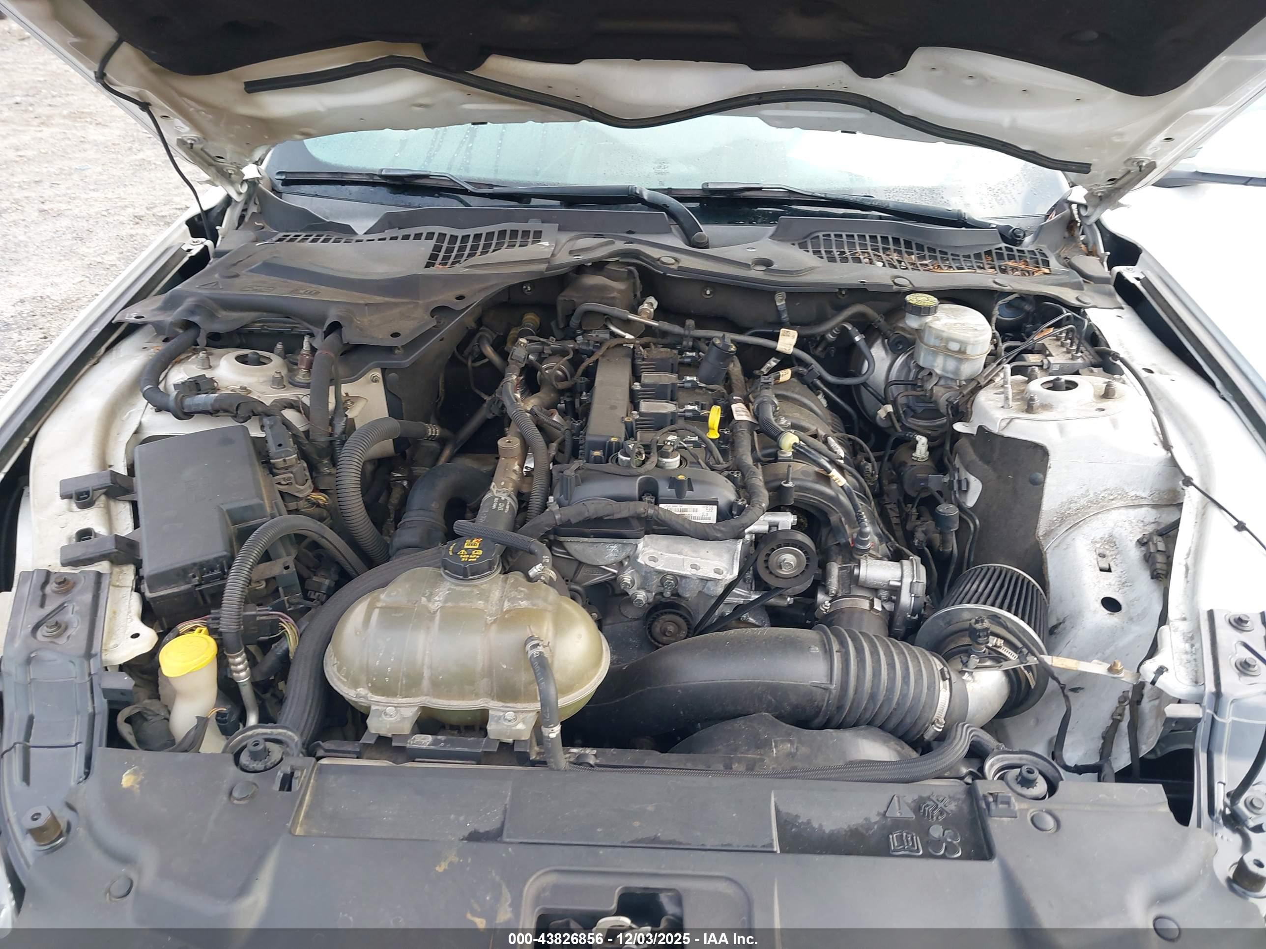 FORD MUSTANG image 10
