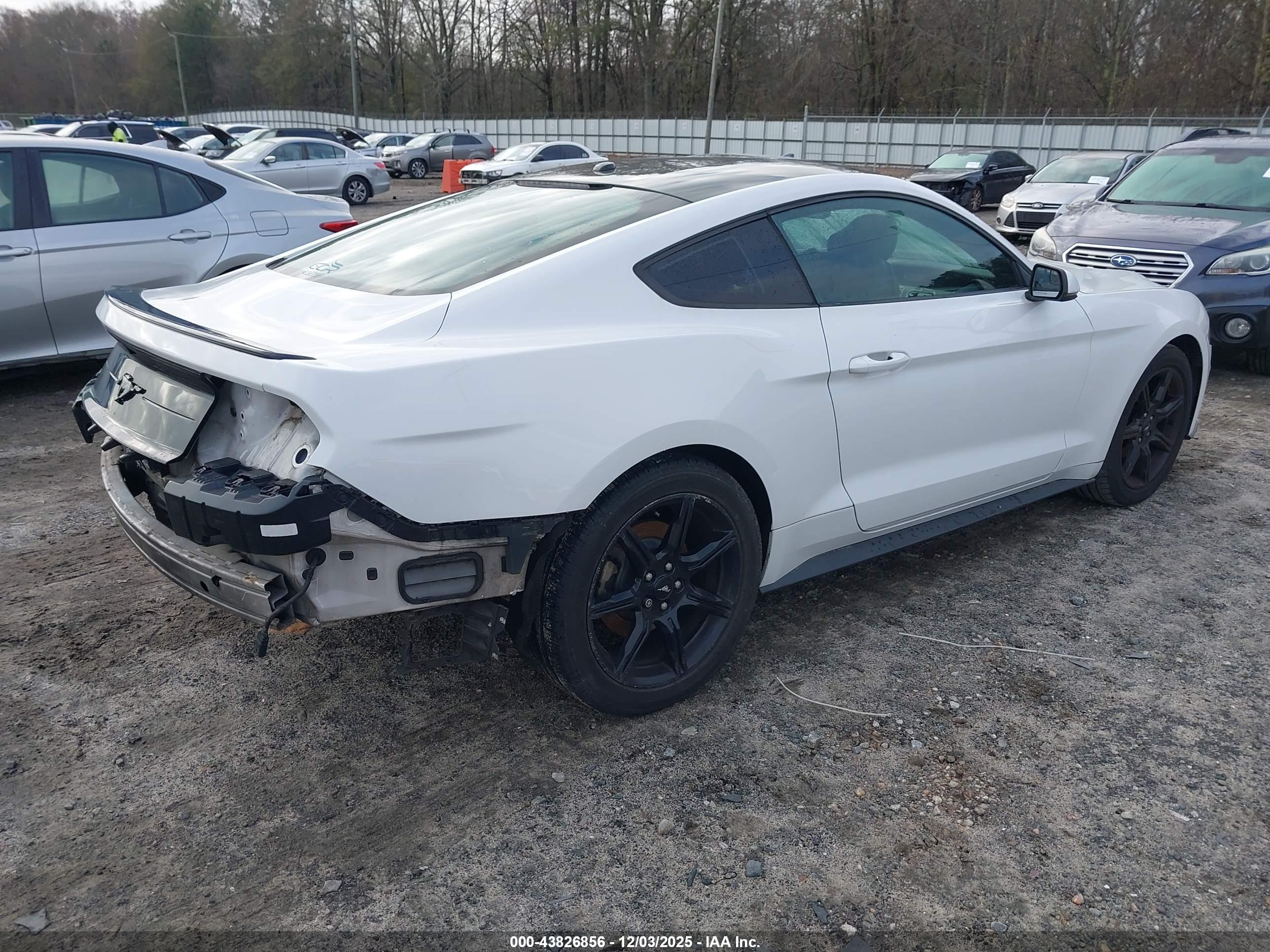 FORD MUSTANG image 4