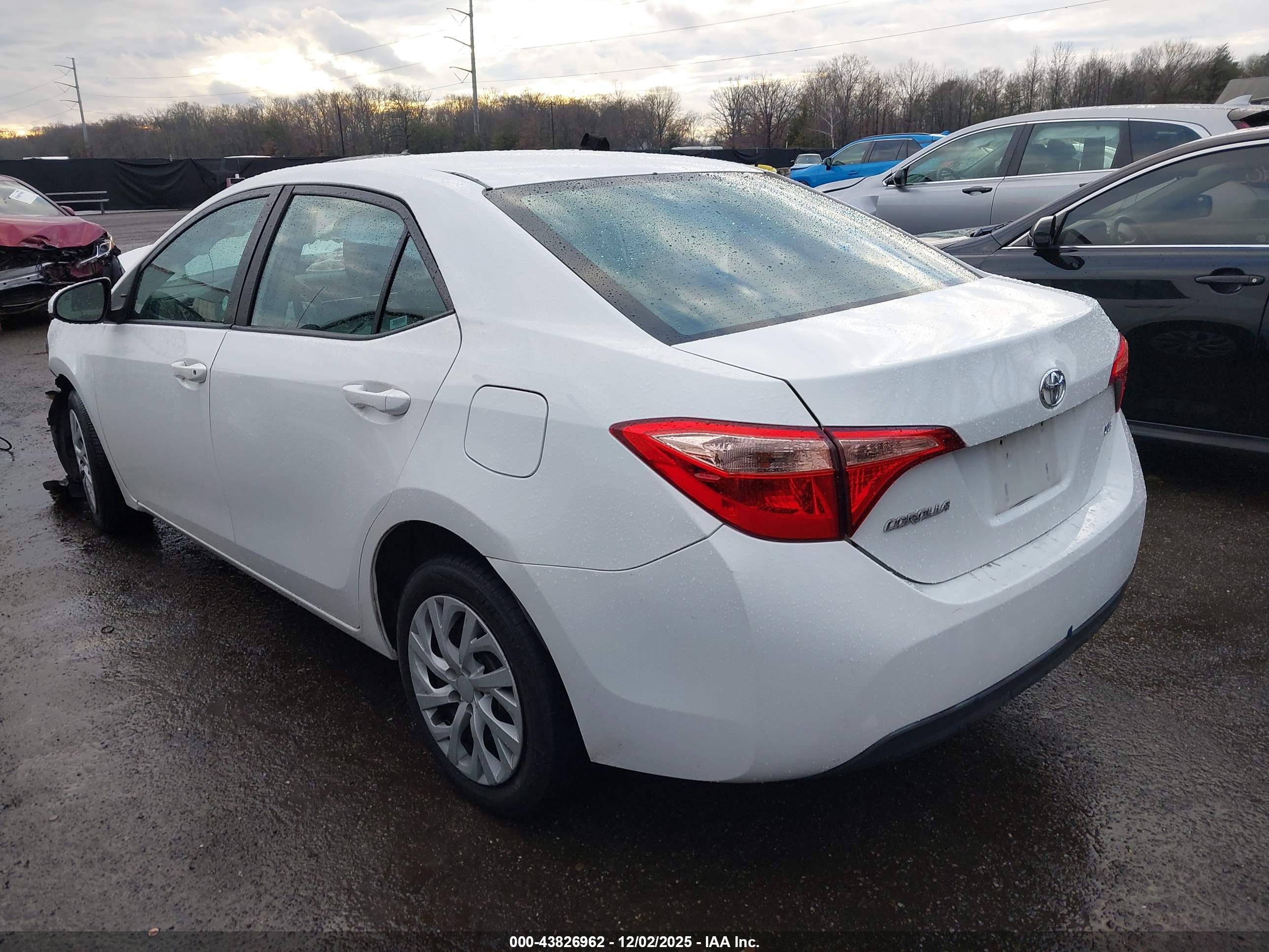 TOYOTA COROLLA image 3