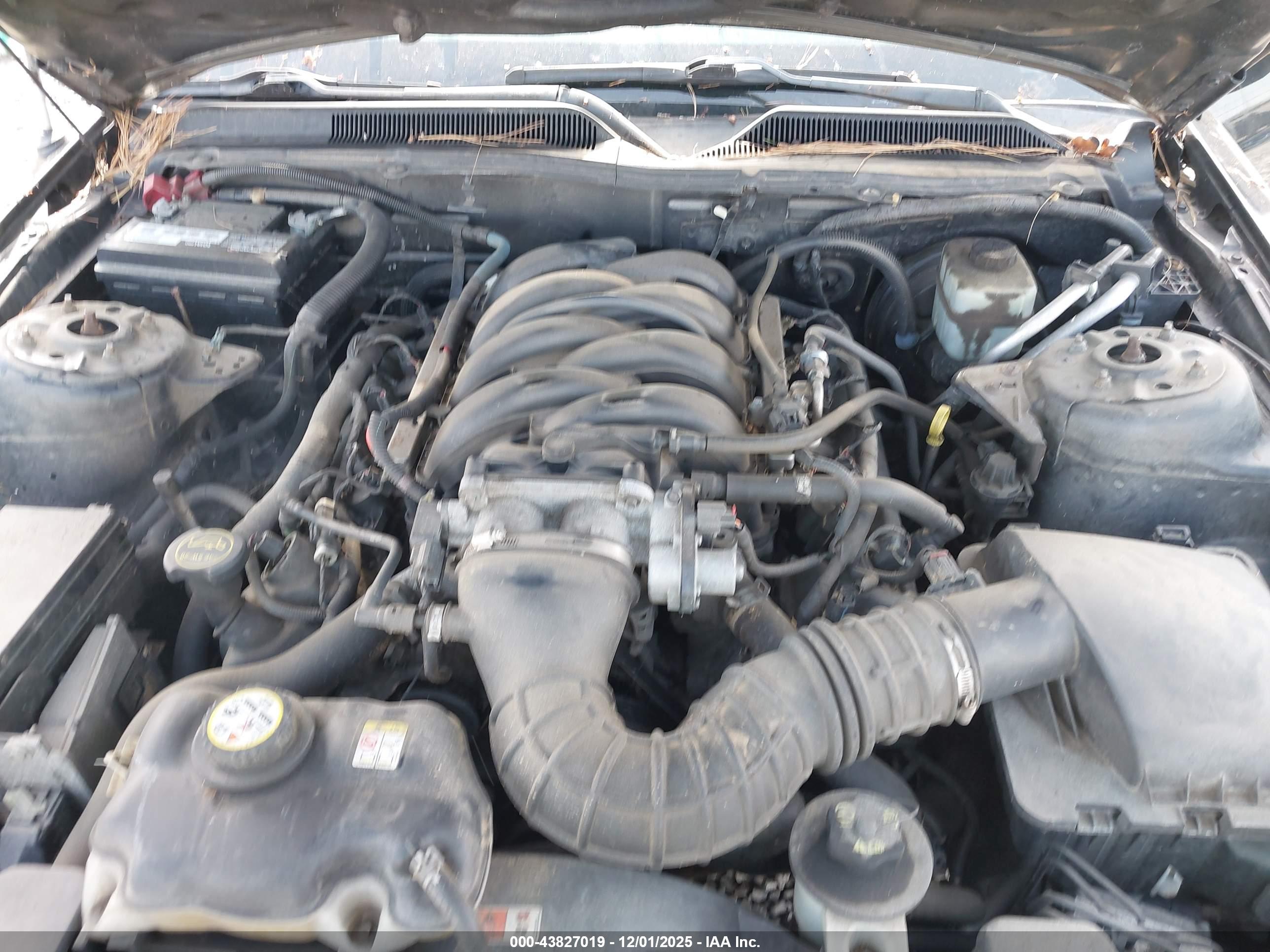 FORD MUSTANG image 10