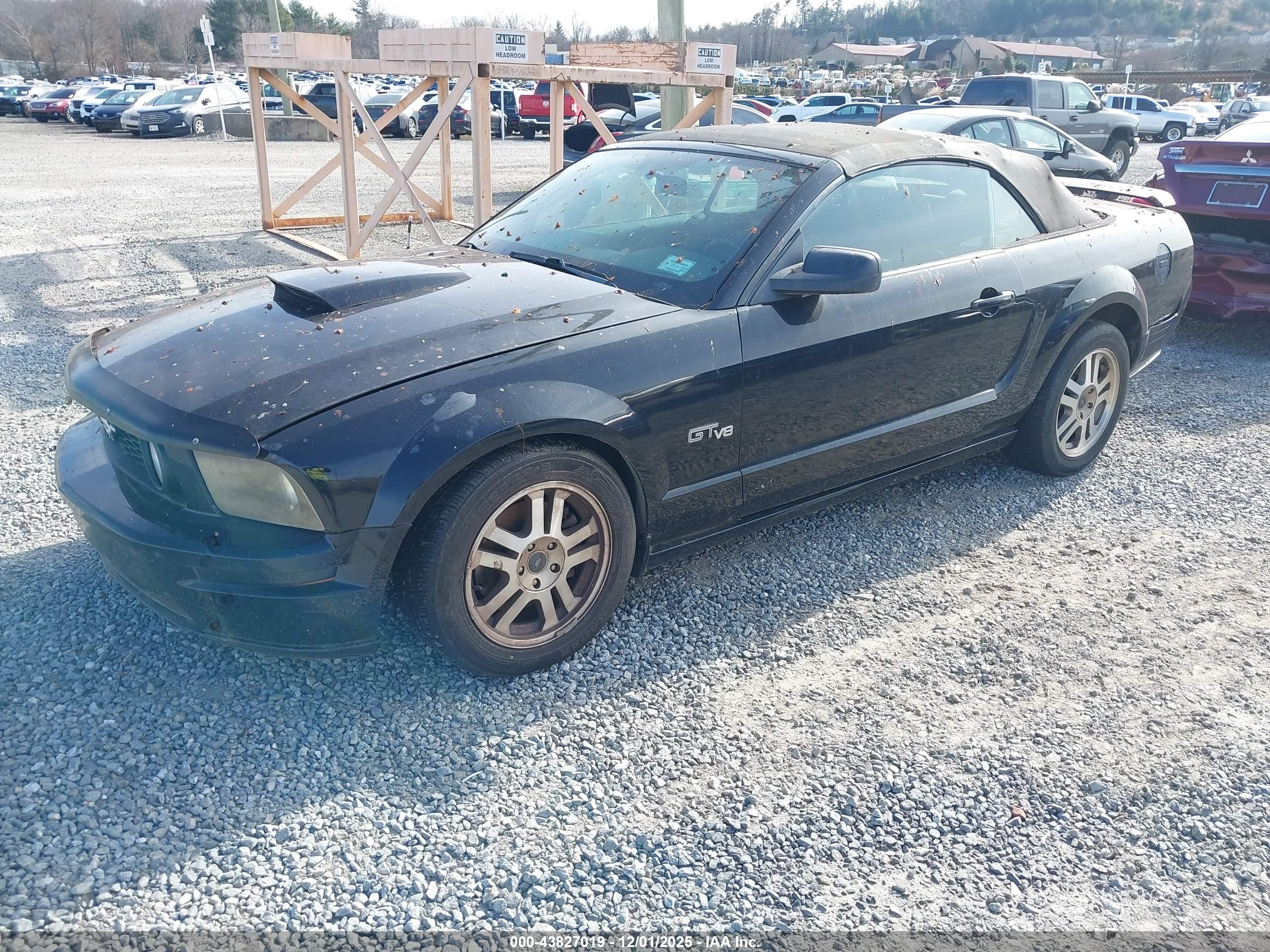 FORD MUSTANG image 2