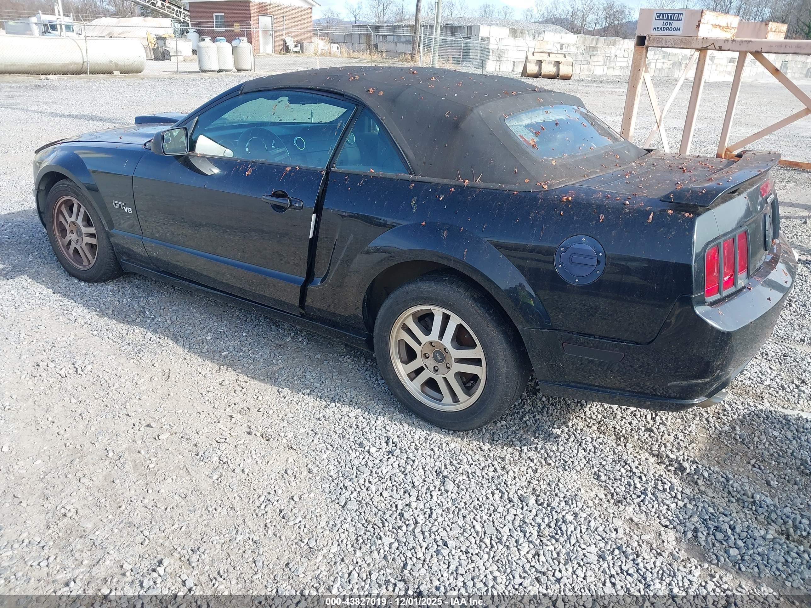 FORD MUSTANG image 3