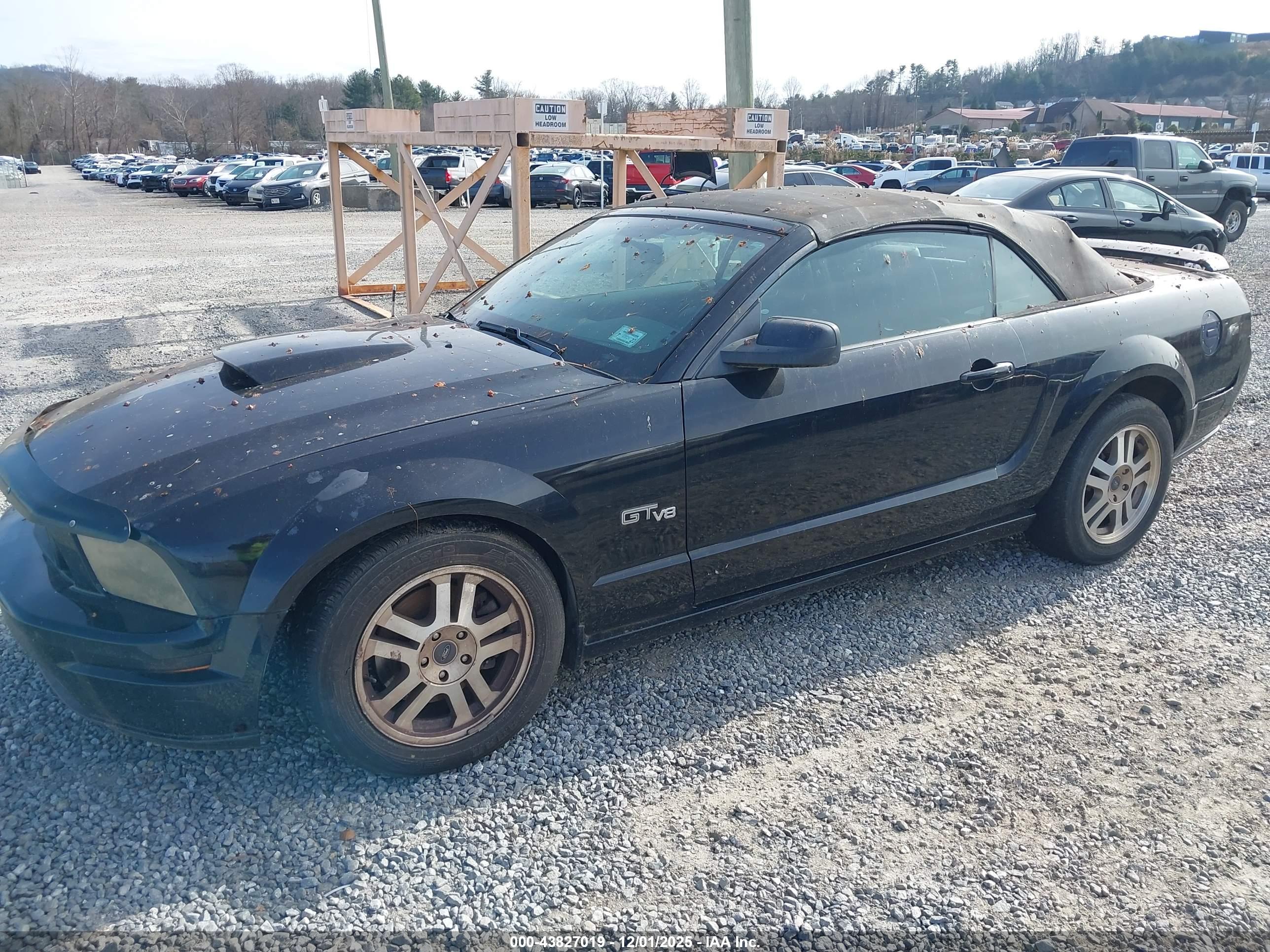 FORD MUSTANG image 6