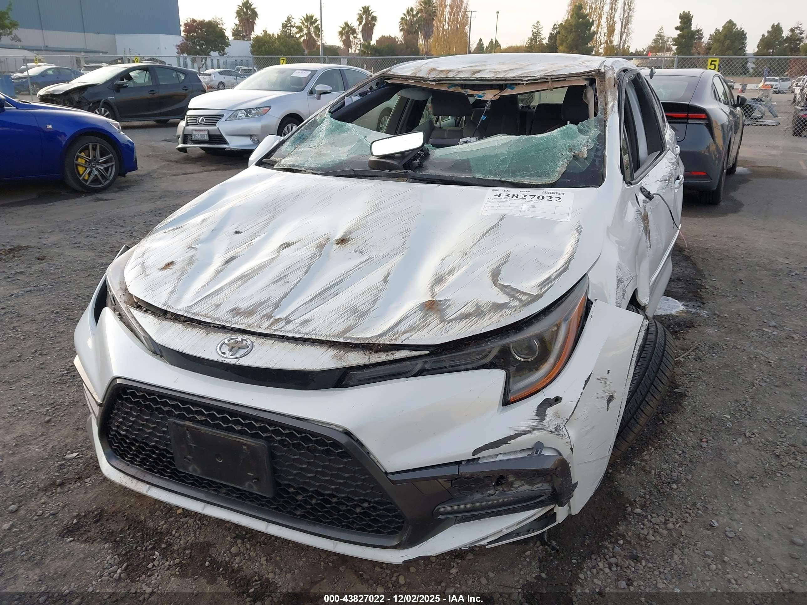 TOYOTA COROLLA image 6