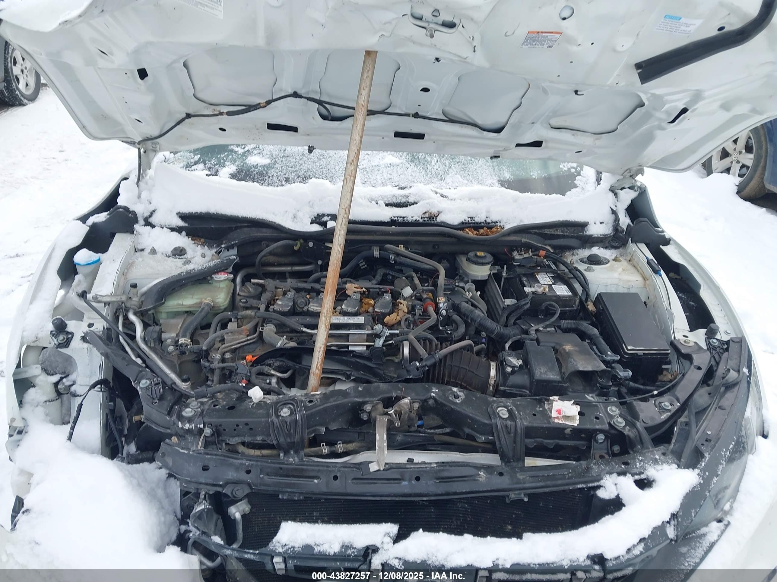 HONDA CIVIC image 10