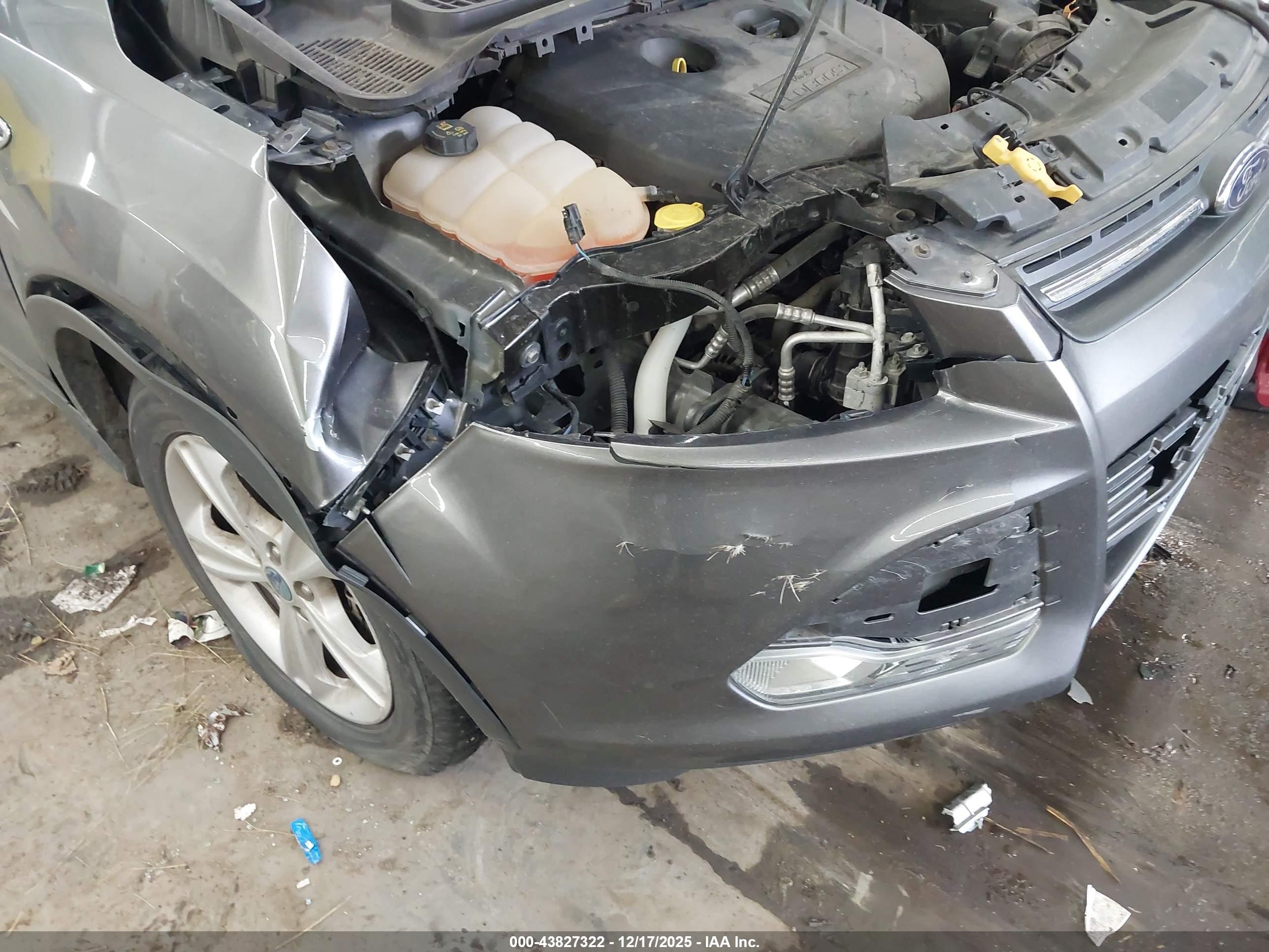 FORD ESCAPE image 6