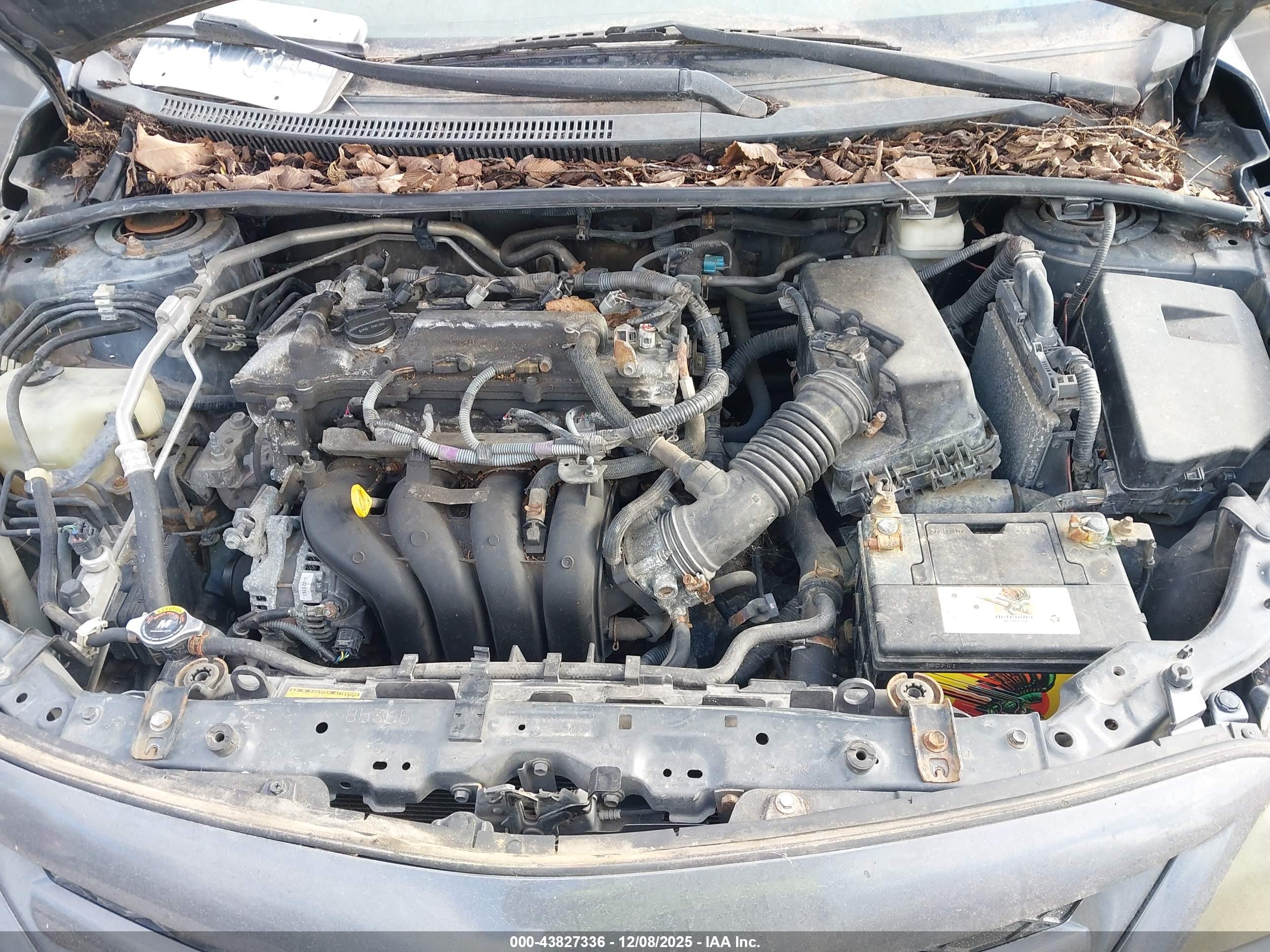 TOYOTA COROLLA image 10