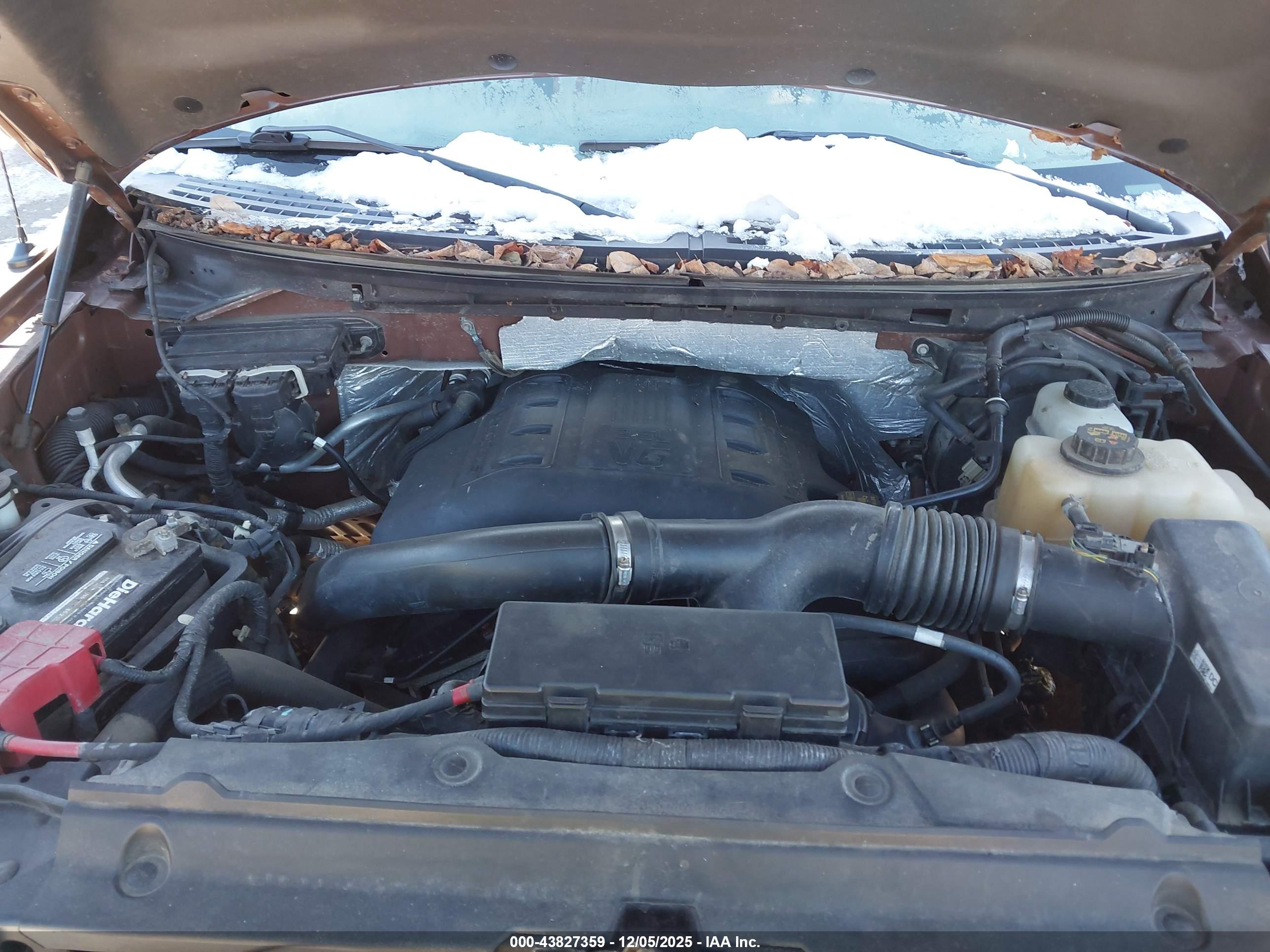 FORD F-150 image 10