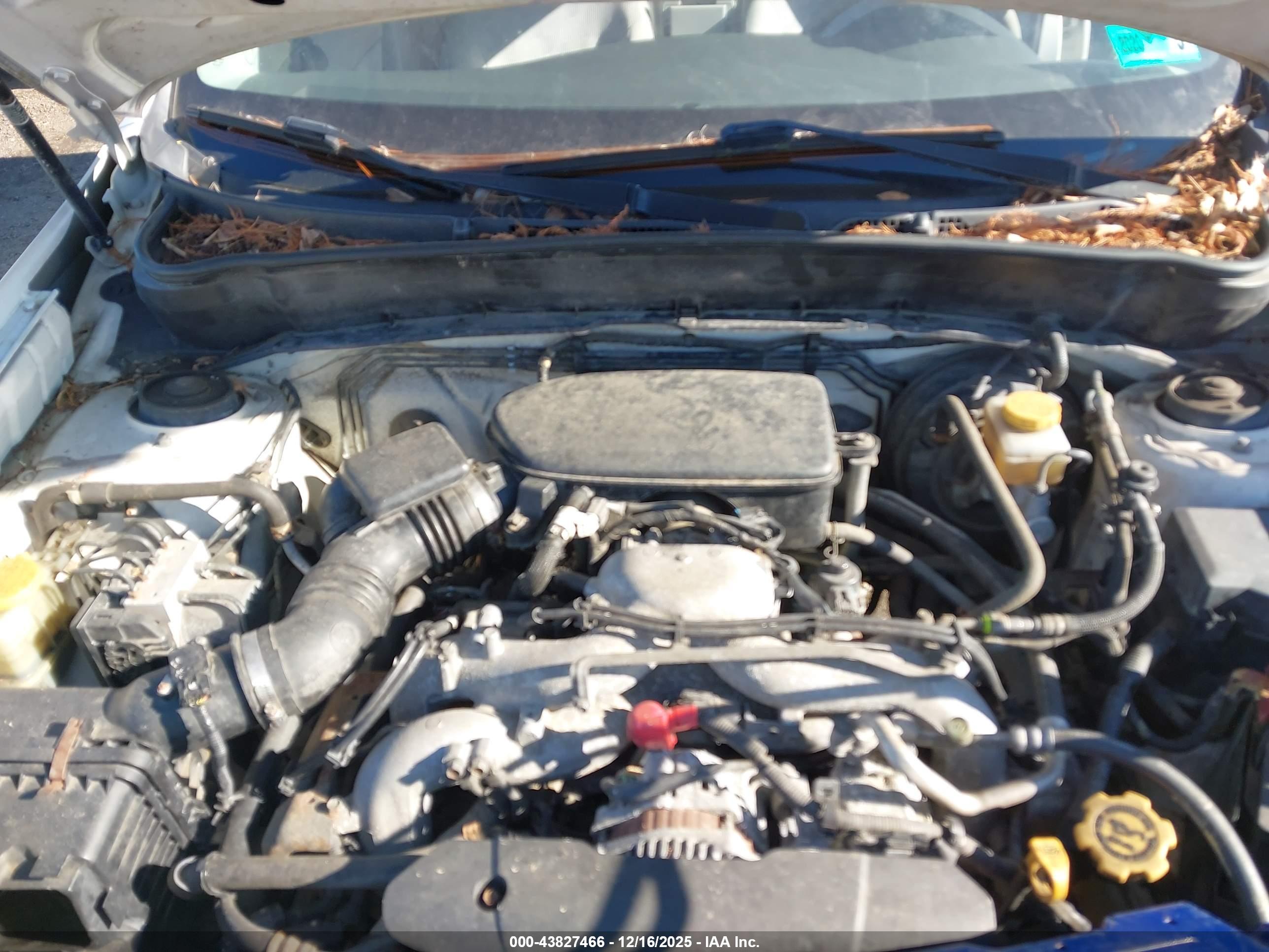 SUBARU FORESTER image 10