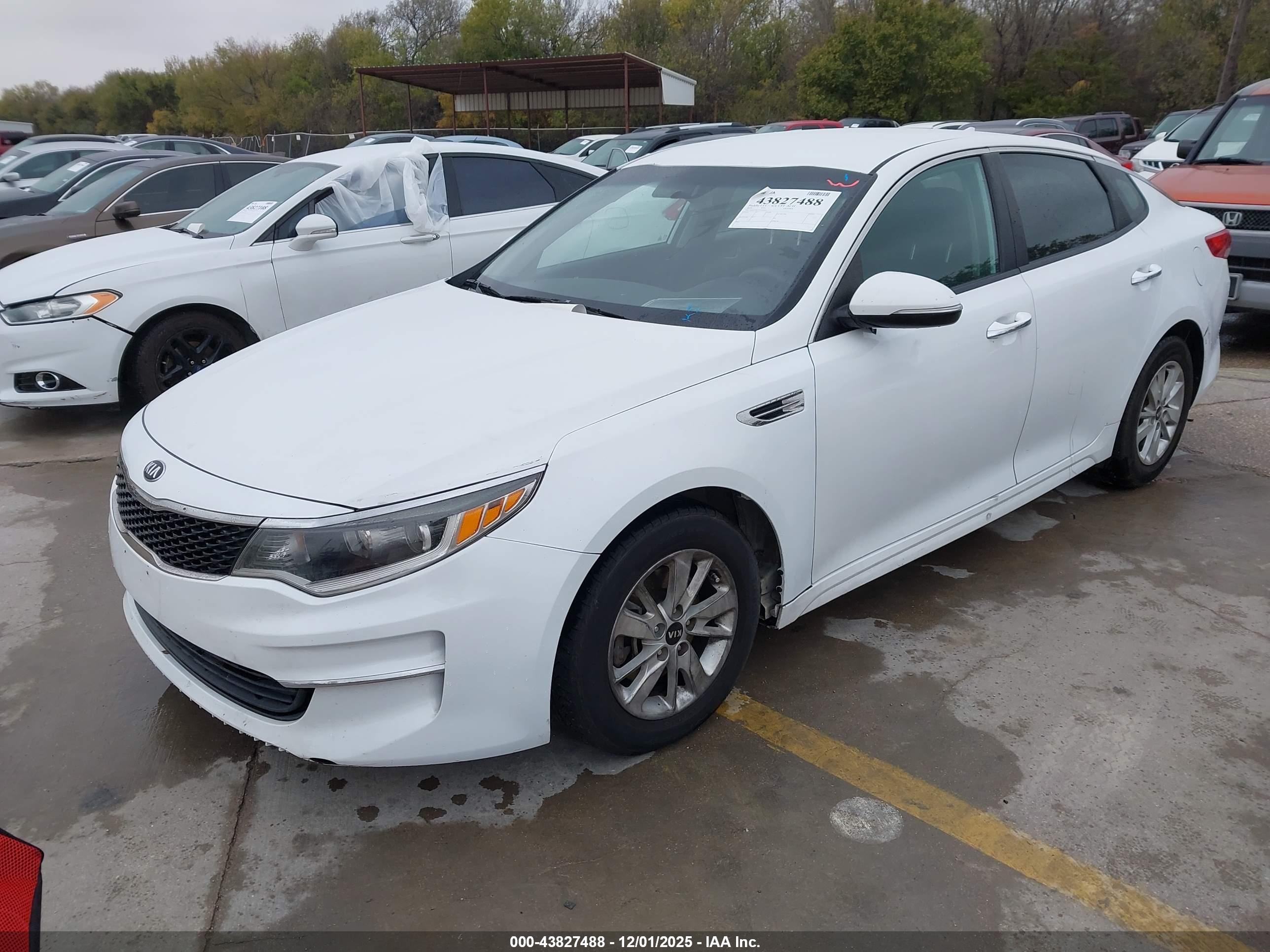 KIA OPTIMA image 2