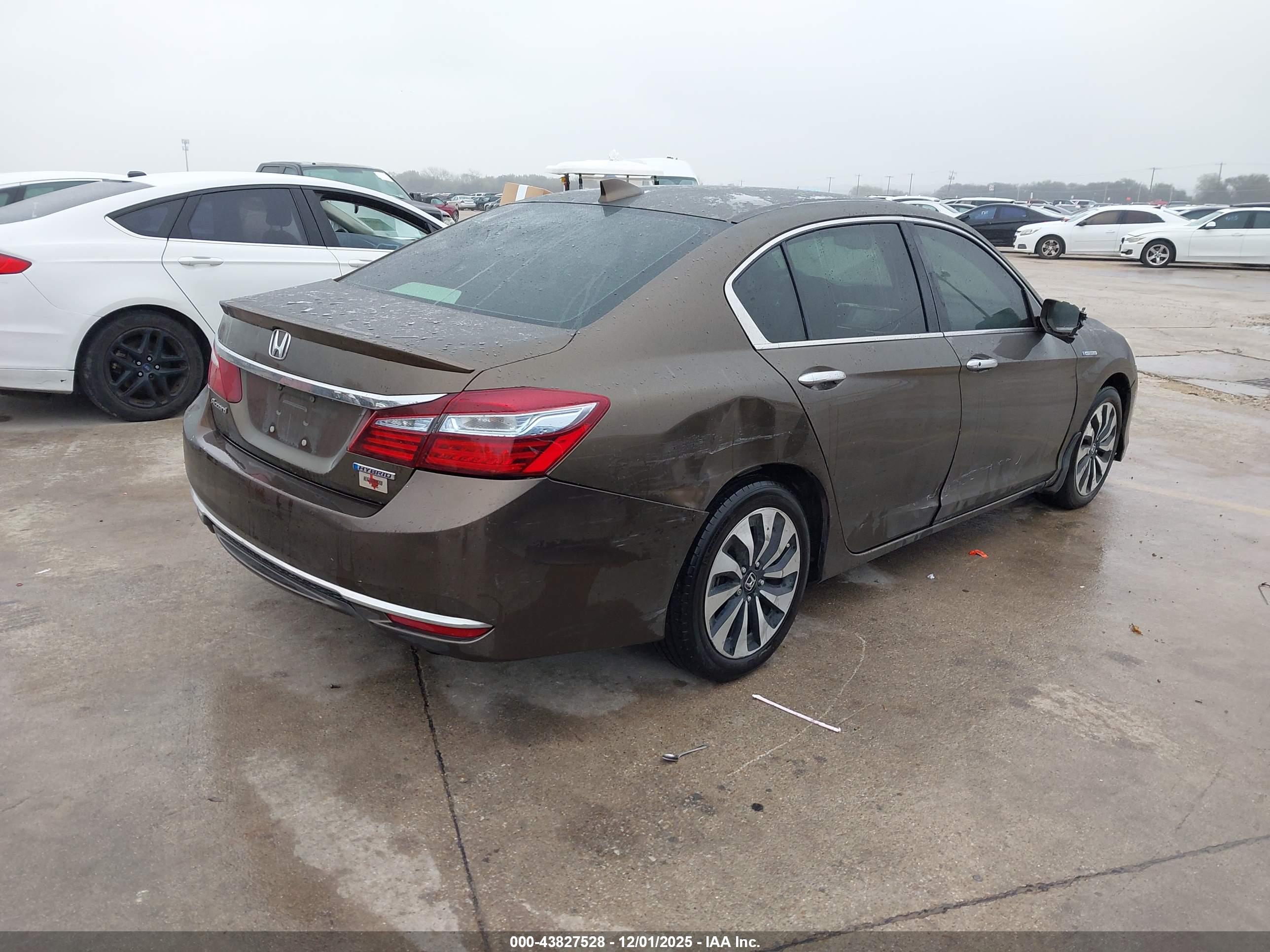HONDA ACCORD image 4