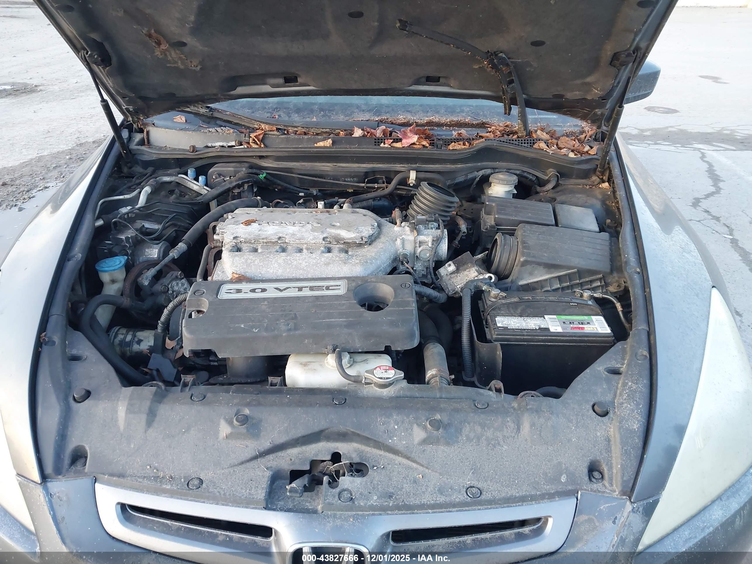 HONDA ACCORD image 10