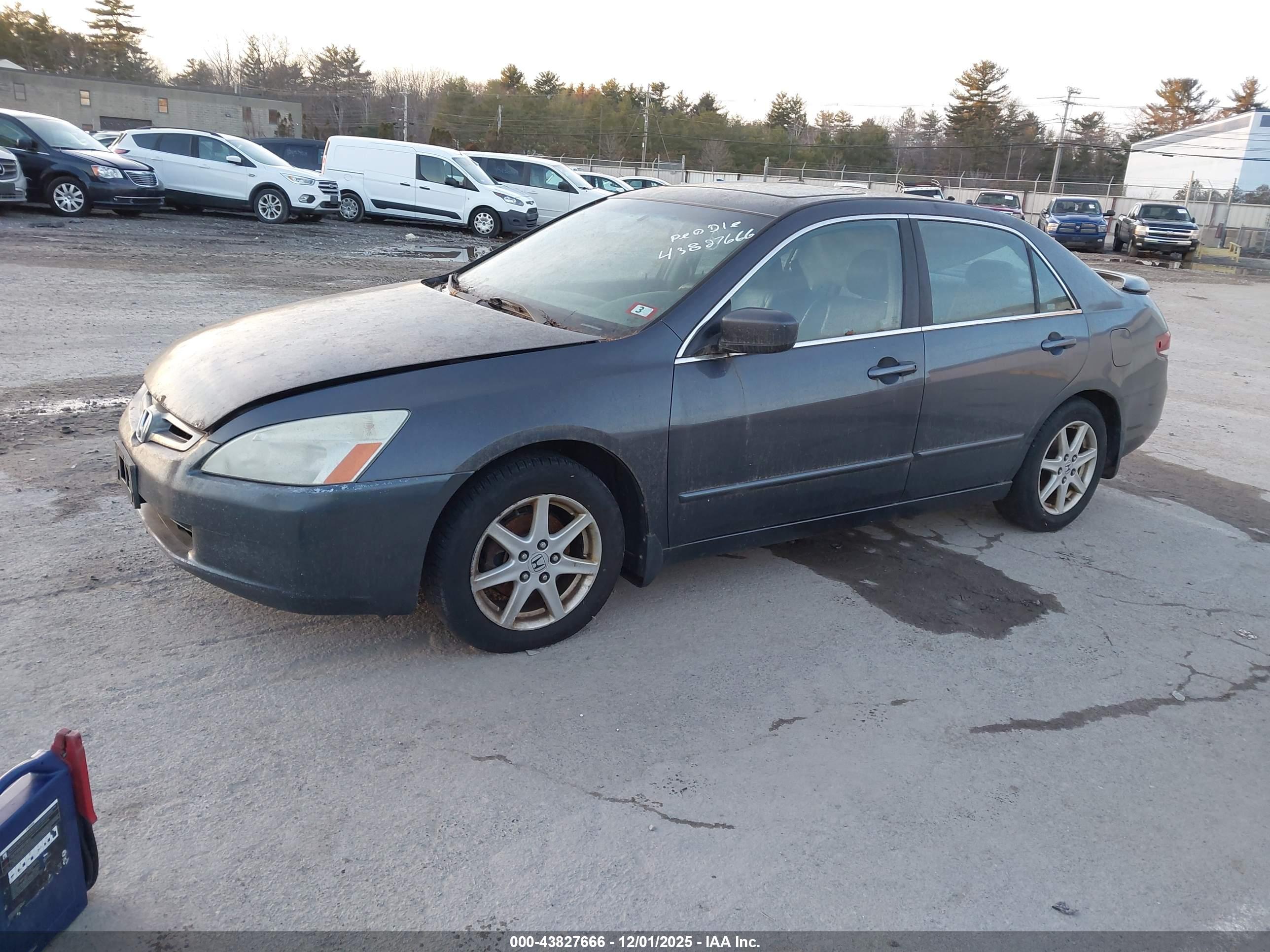 HONDA ACCORD image 2