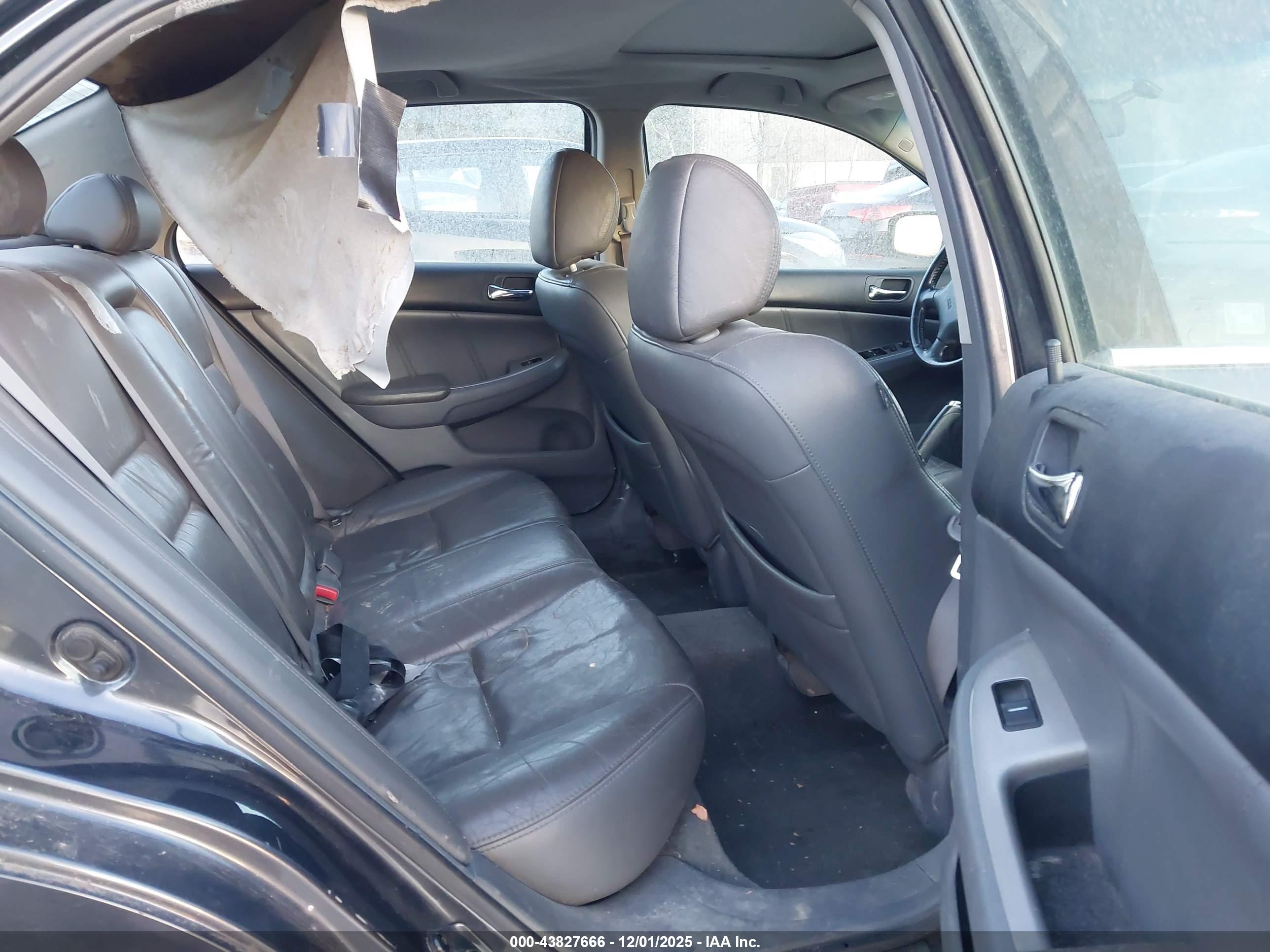 HONDA ACCORD image 8