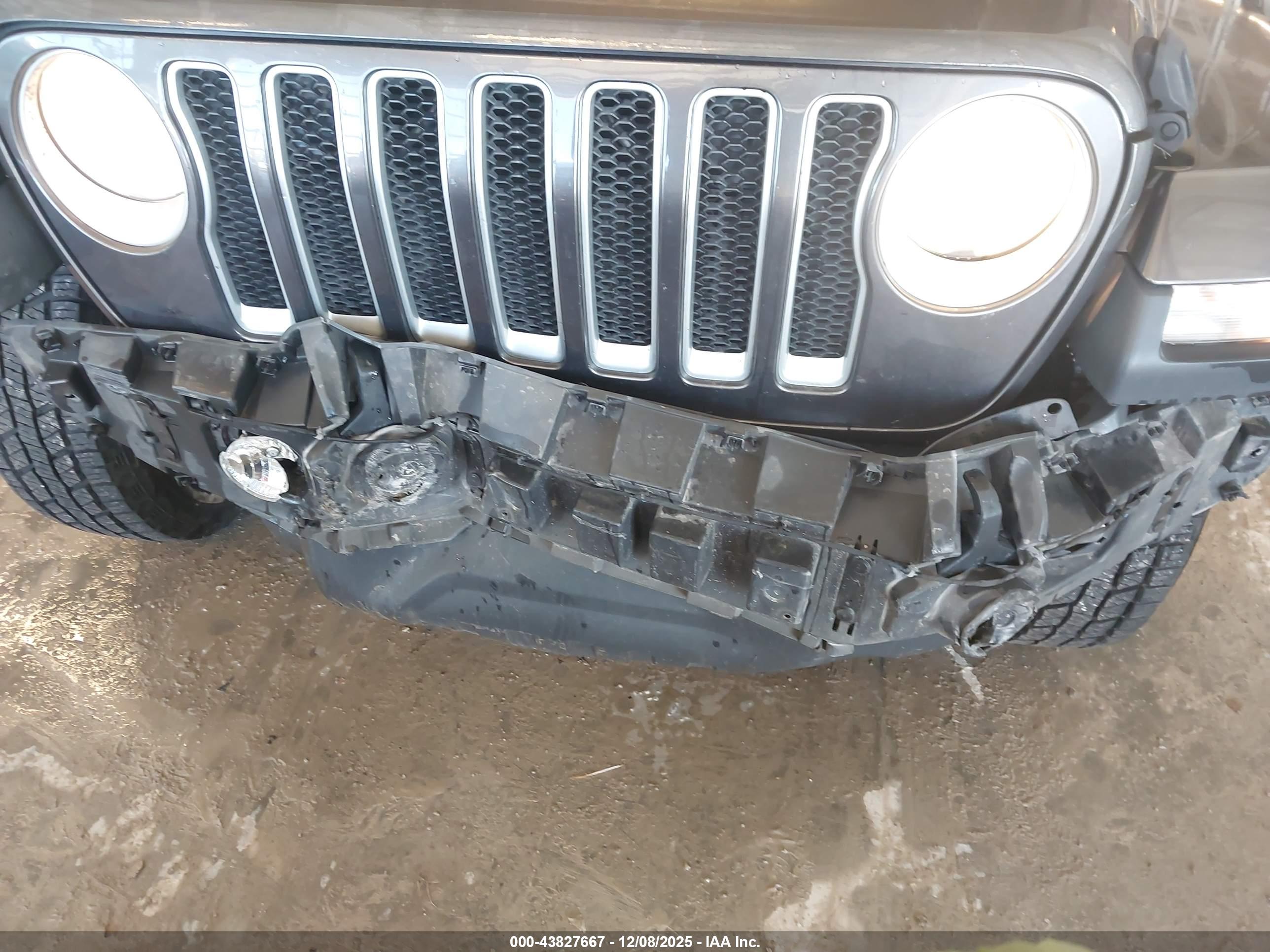 JEEP WRANGLER image 6