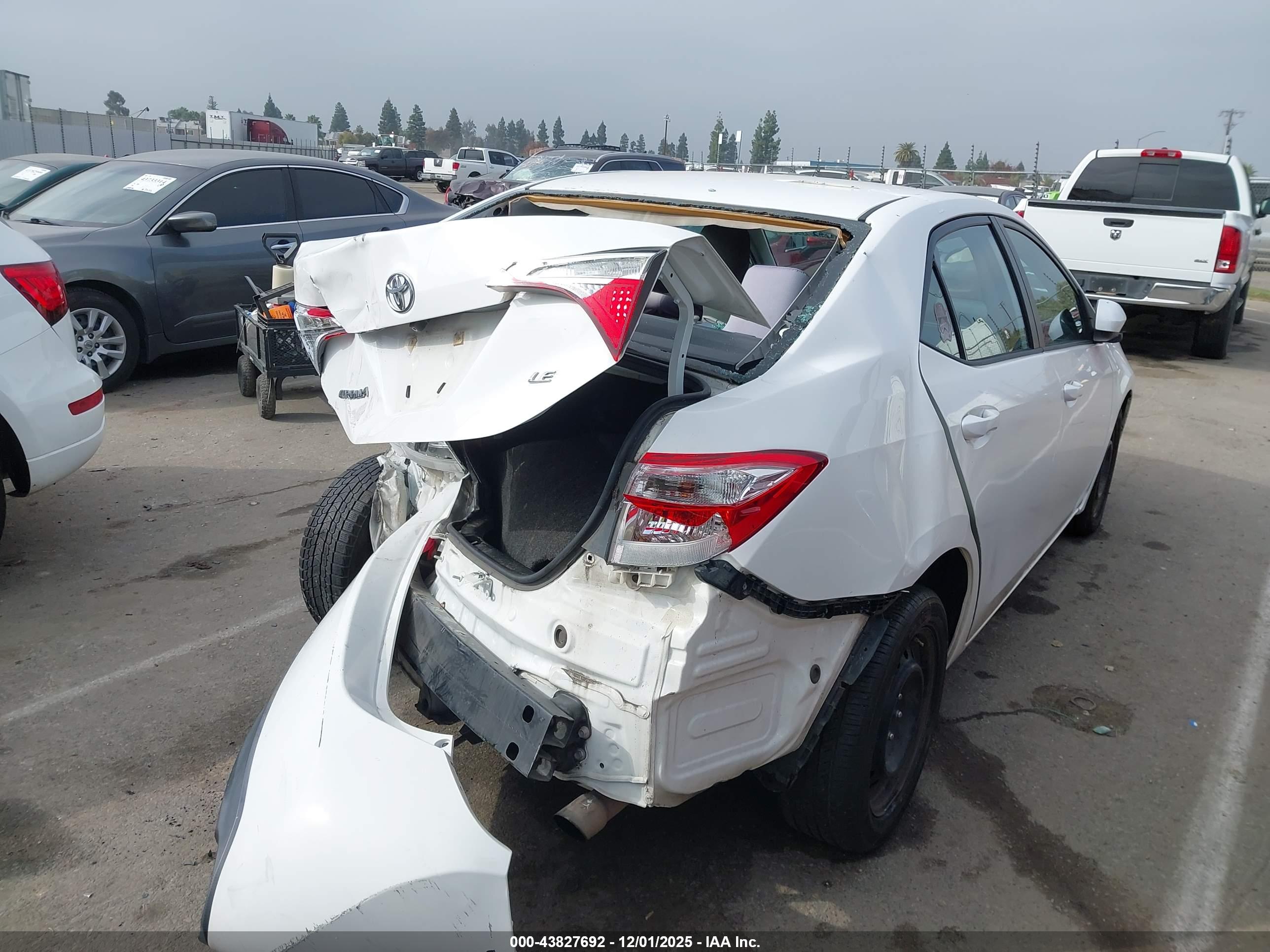 TOYOTA COROLLA image 6