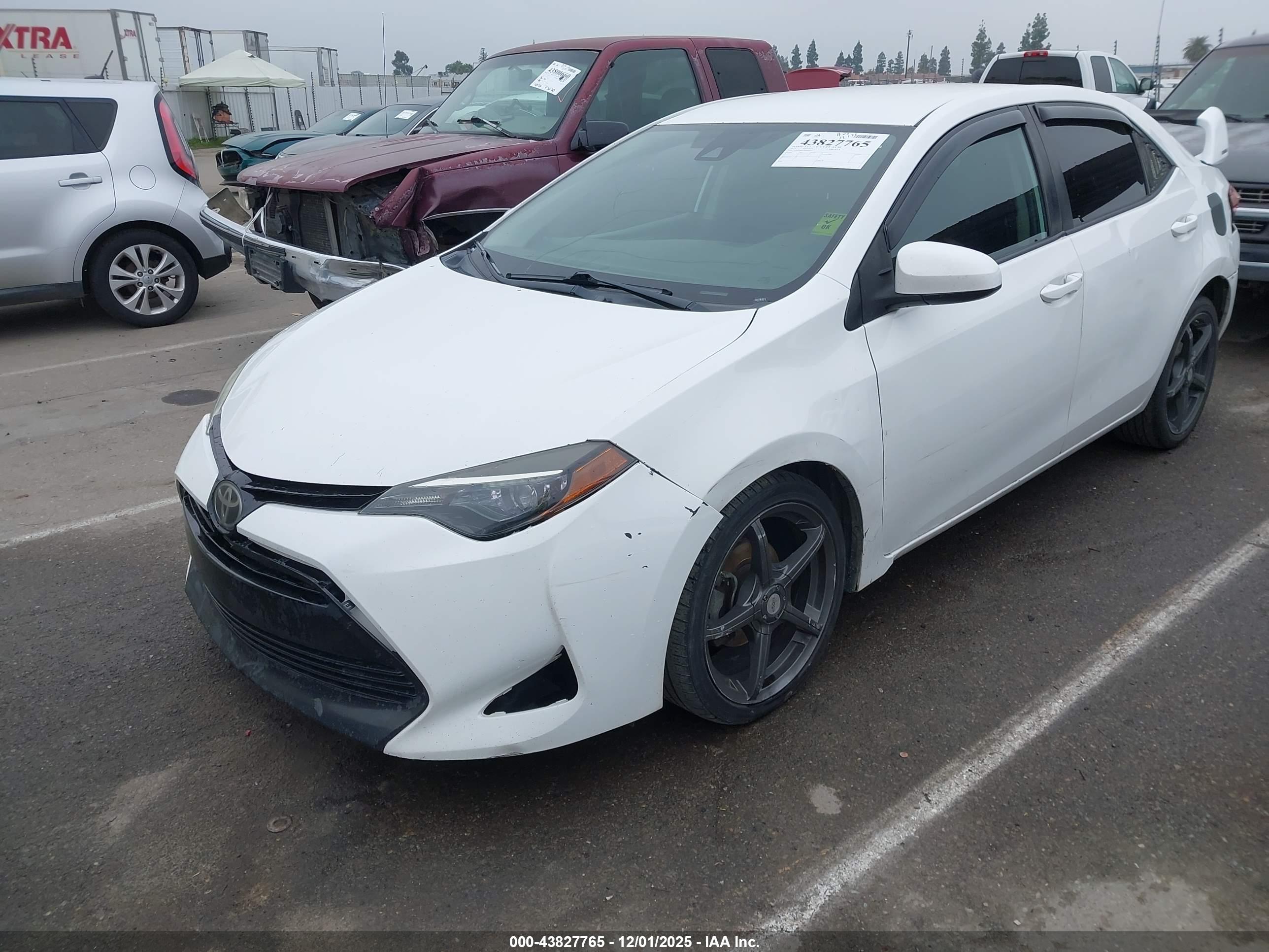 TOYOTA COROLLA image 2