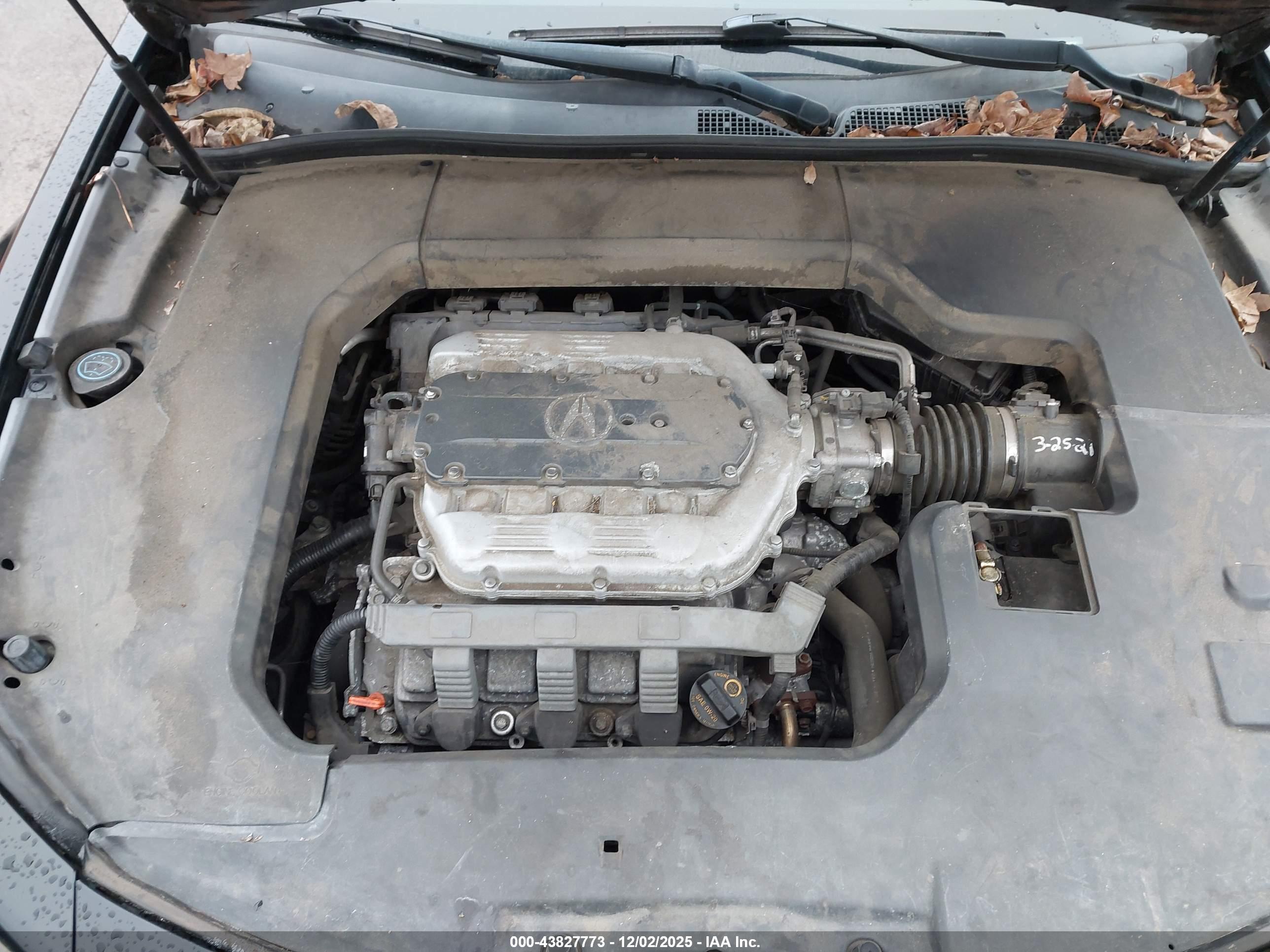 ACURA TL image 10