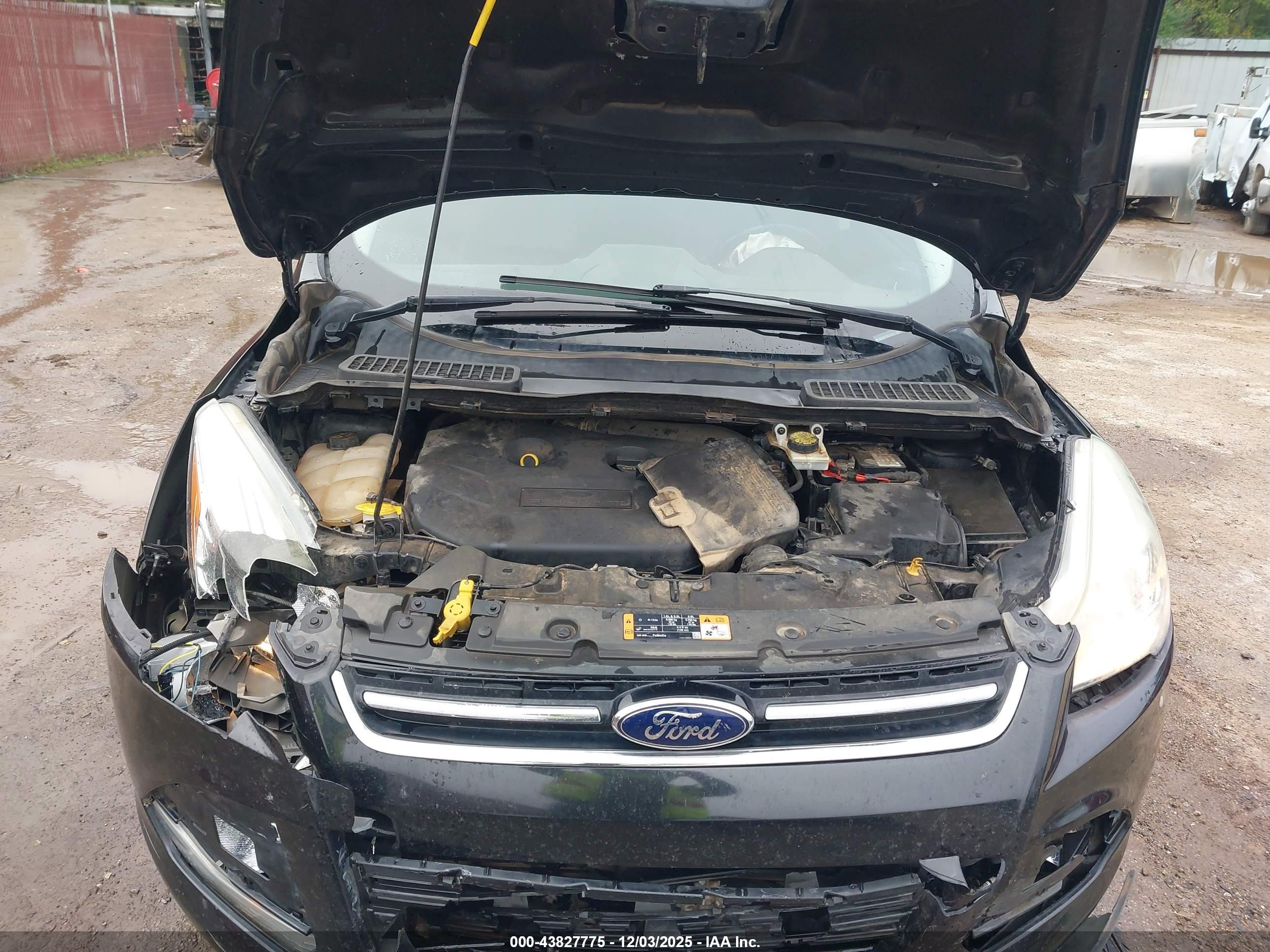FORD ESCAPE image 10